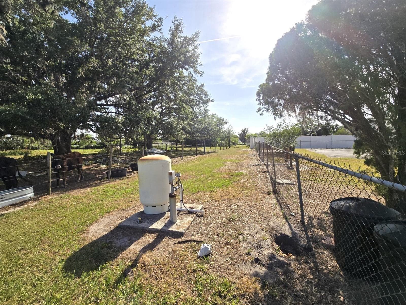 Single Family Residence at 3101 MEDULLA RD, PLANT CITY, photo 65 of 85