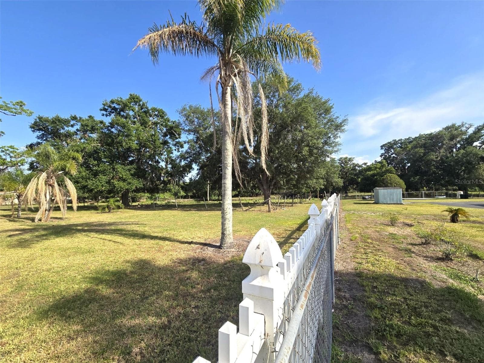 Single Family Residence at 3101 MEDULLA RD, PLANT CITY, photo 71 of 85