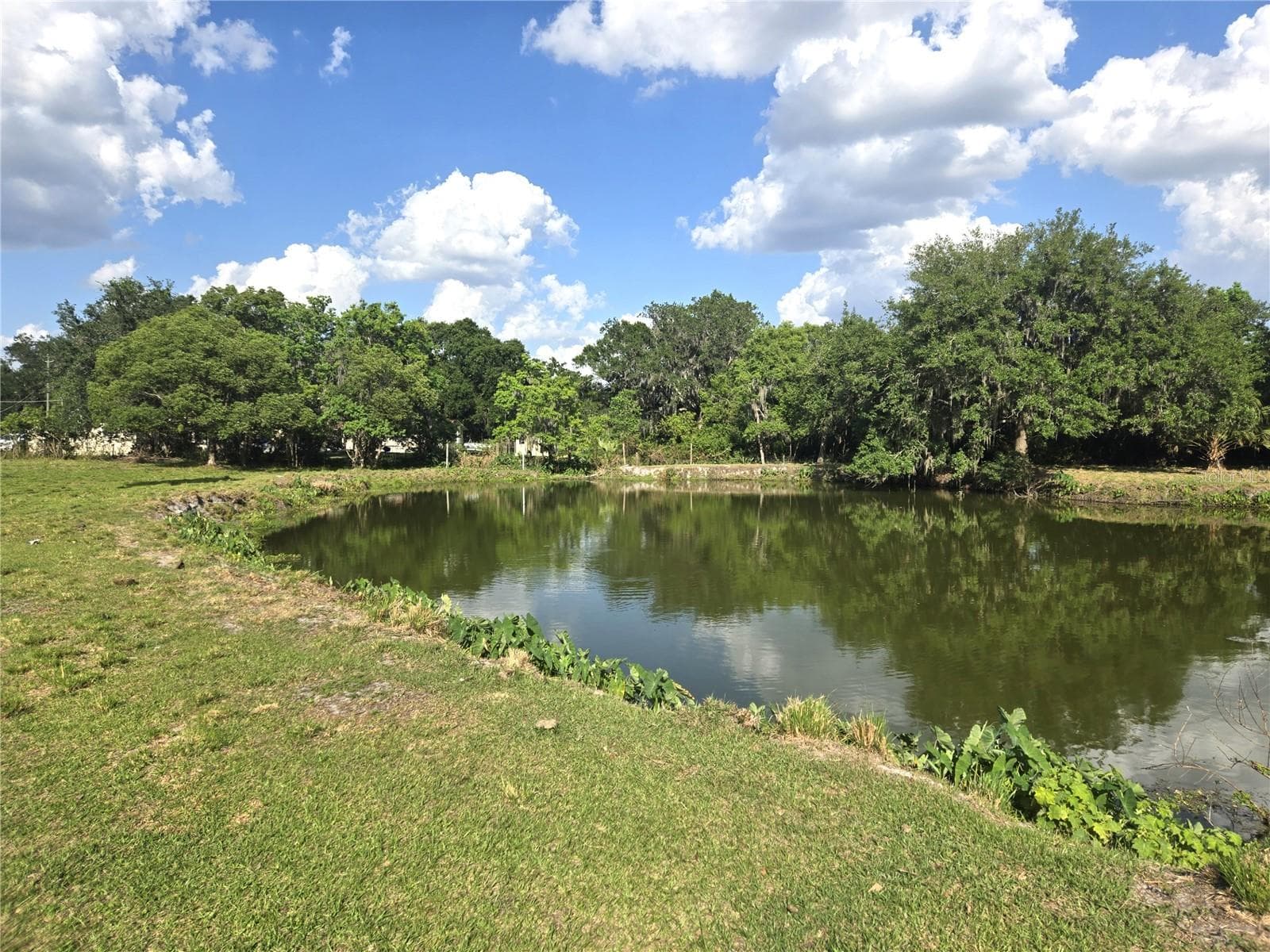 Single Family Residence at 3101 MEDULLA RD, PLANT CITY, photo 74 of 85