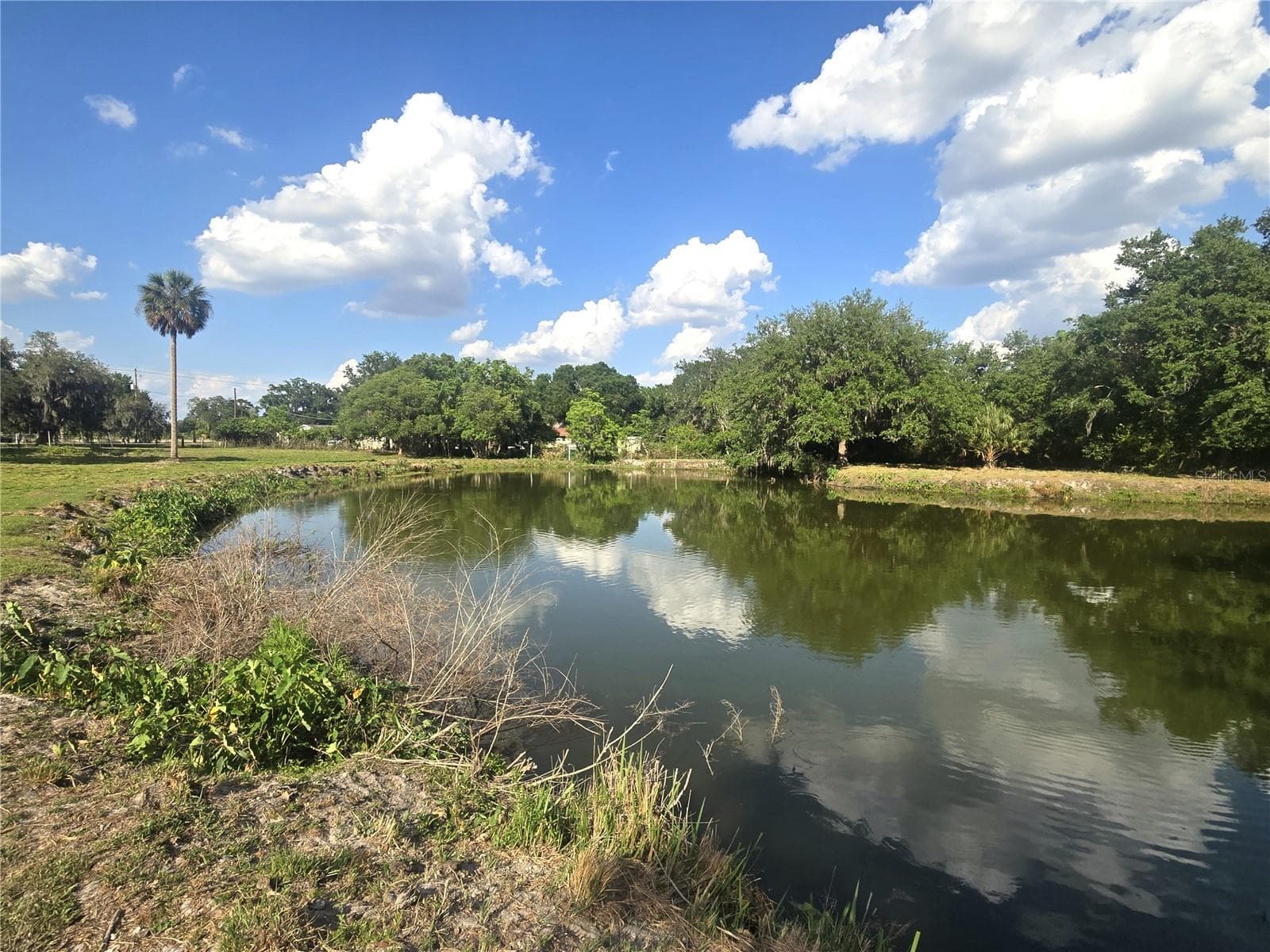 Single Family Residence at 3101 MEDULLA RD, PLANT CITY, photo 78 of 85