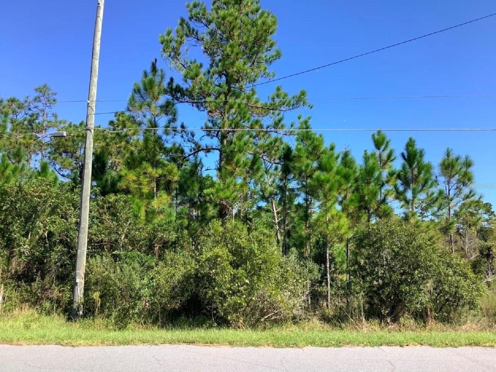 Land at 00000 SHELDON ST, ORLANDO, photo 2 of 7