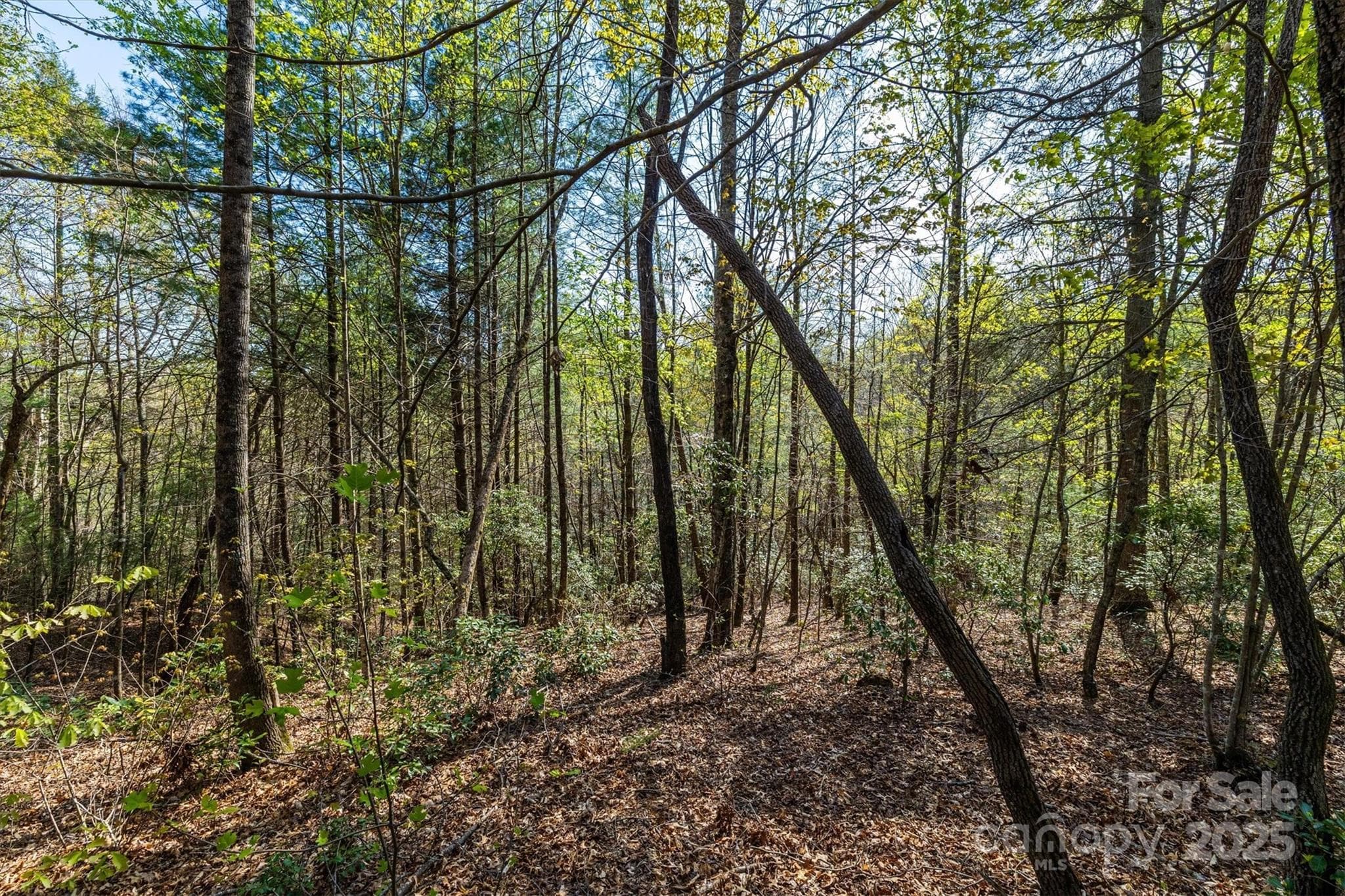 Lot at 18 Walnut Ridge Way, Lenoir, photo 3 of 35