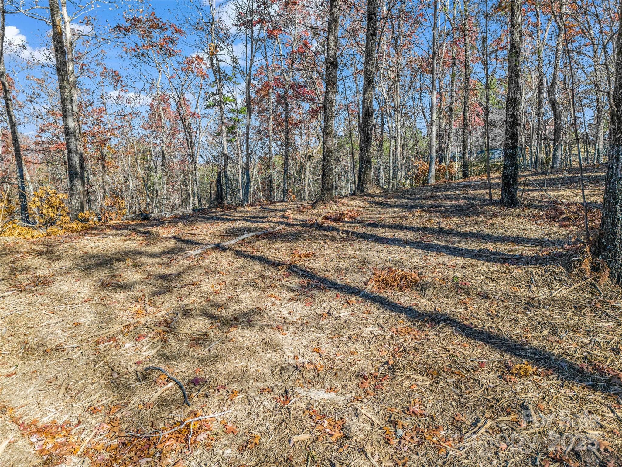 Single Family Residence at Lot 30 Deep Gap Farm Road E, Mill Spring, photo 12 of 18