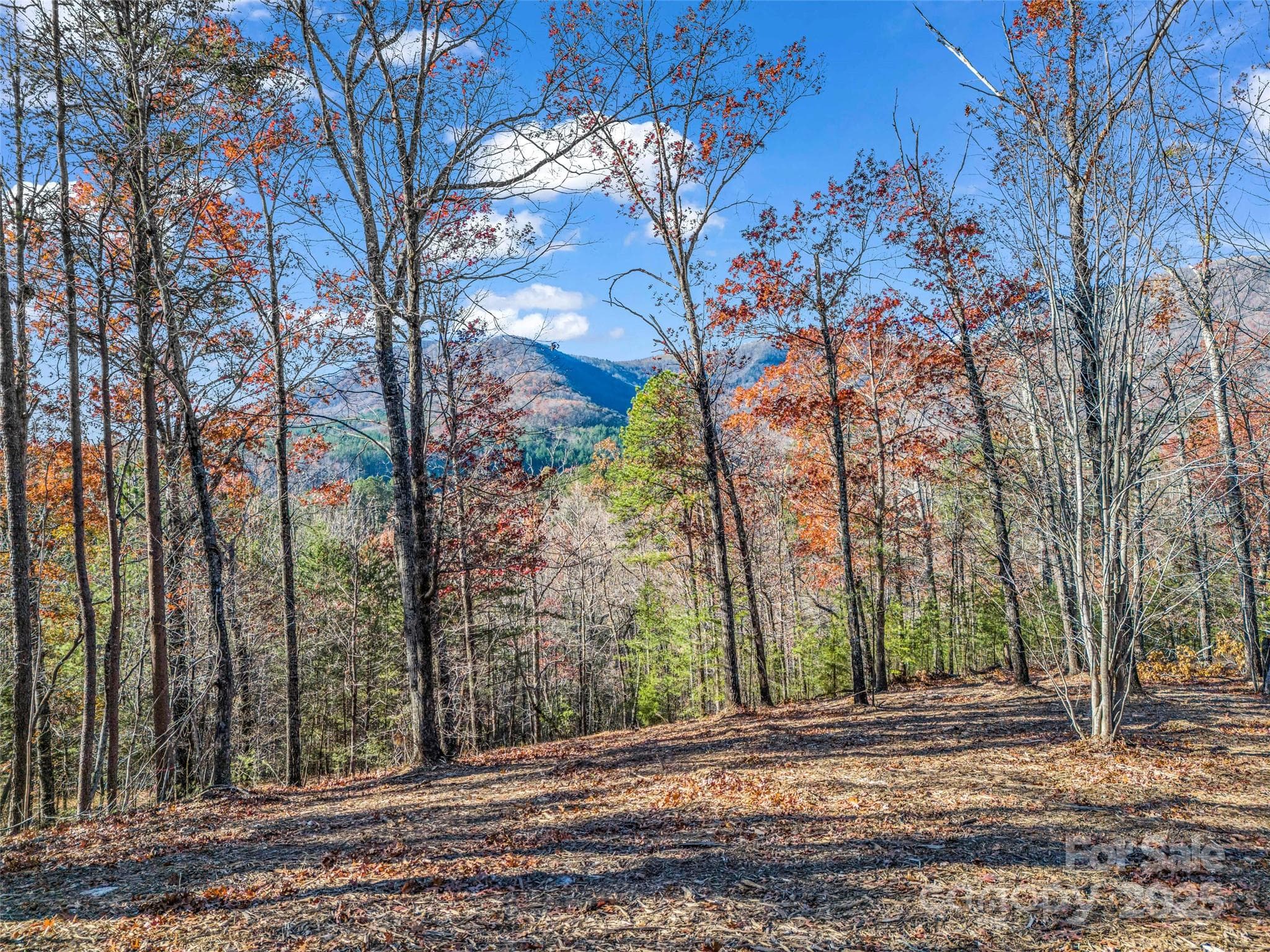 Single Family Residence at Lot 30 Deep Gap Farm Road E, Mill Spring, photo 15 of 18