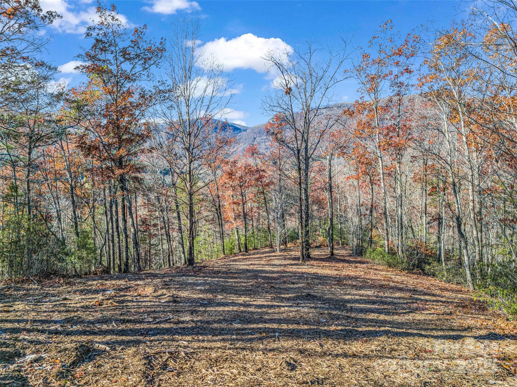 Single Family Residence at Lot 30 Deep Gap Farm Road E, Mill Spring, photo 18 of 18