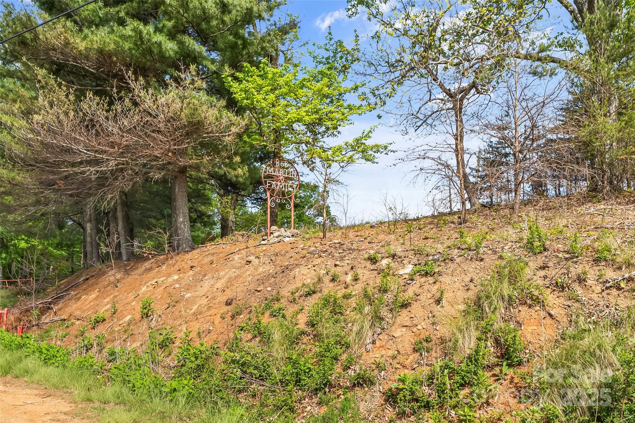 Acreage at Morganton, photo 6 of 15