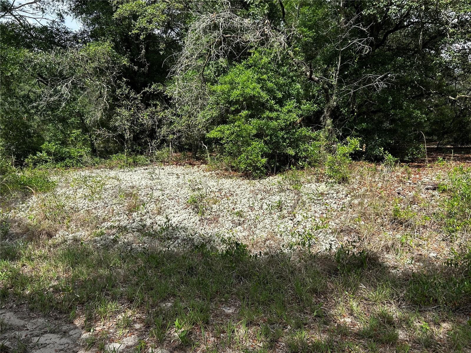 Land at TBD UPLANDS AVE, DUNNELLON, photo 2 of 6
