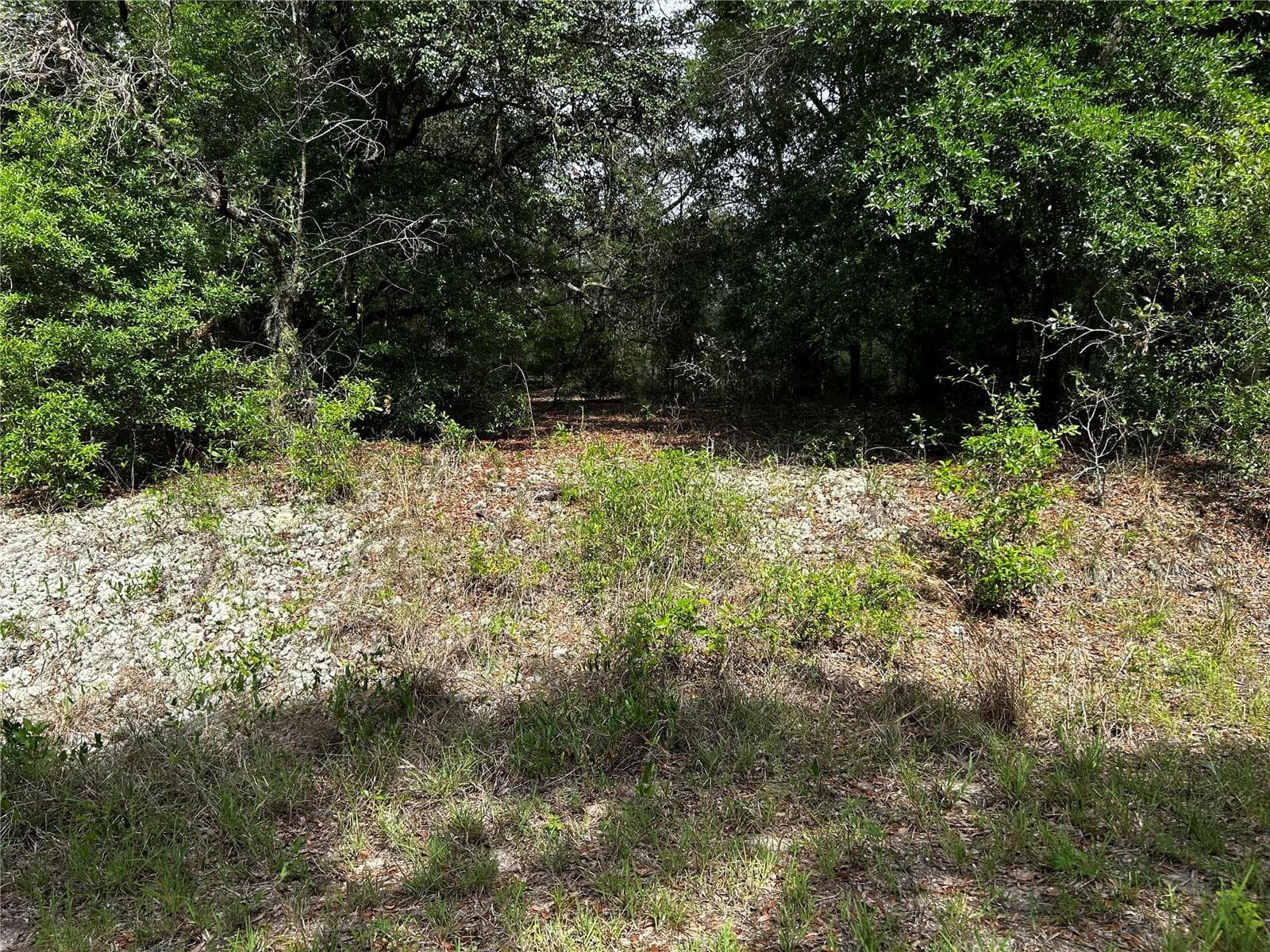 Land at TBD UPLANDS AVE, DUNNELLON, photo 3 of 6