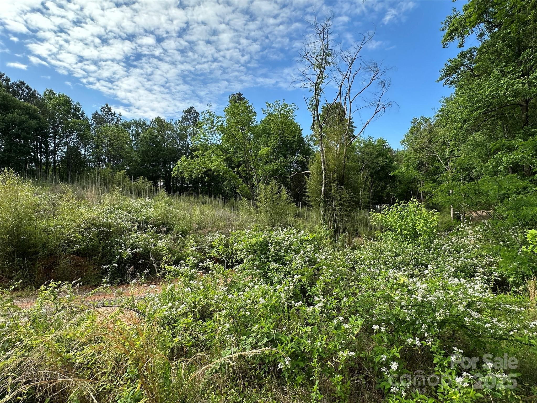 Office at Statesville, photo 12 of 19