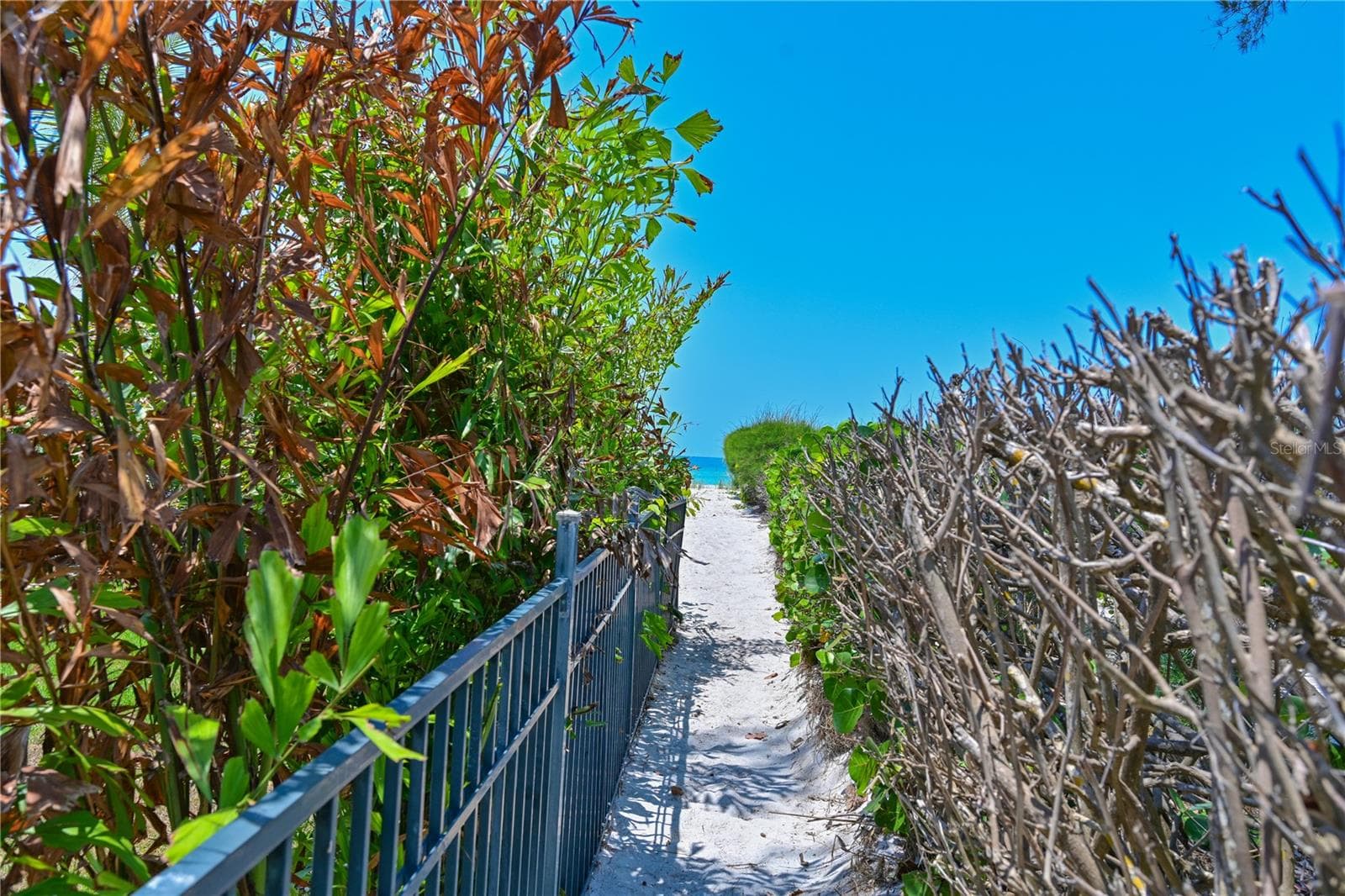Beach path - 5924 GULF OF MEXICO DR, LONGBOAT KEY