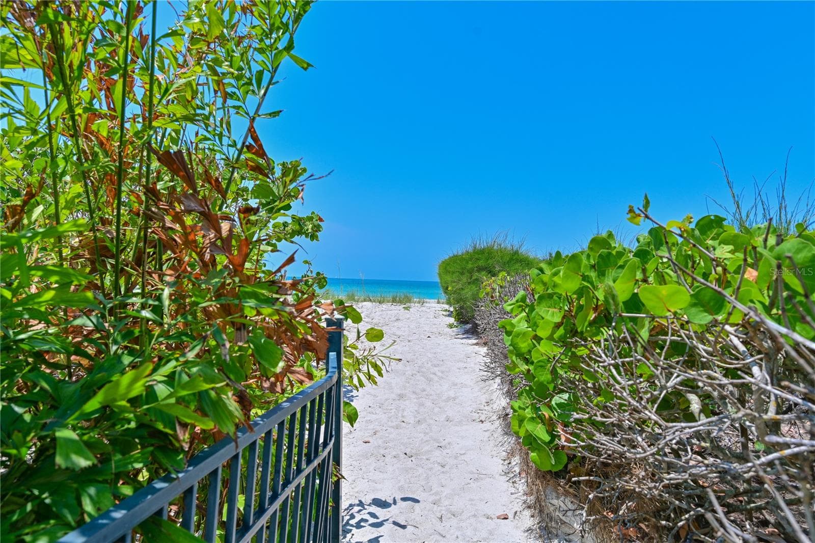 Beach path - 5924 GULF OF MEXICO DR, LONGBOAT KEY