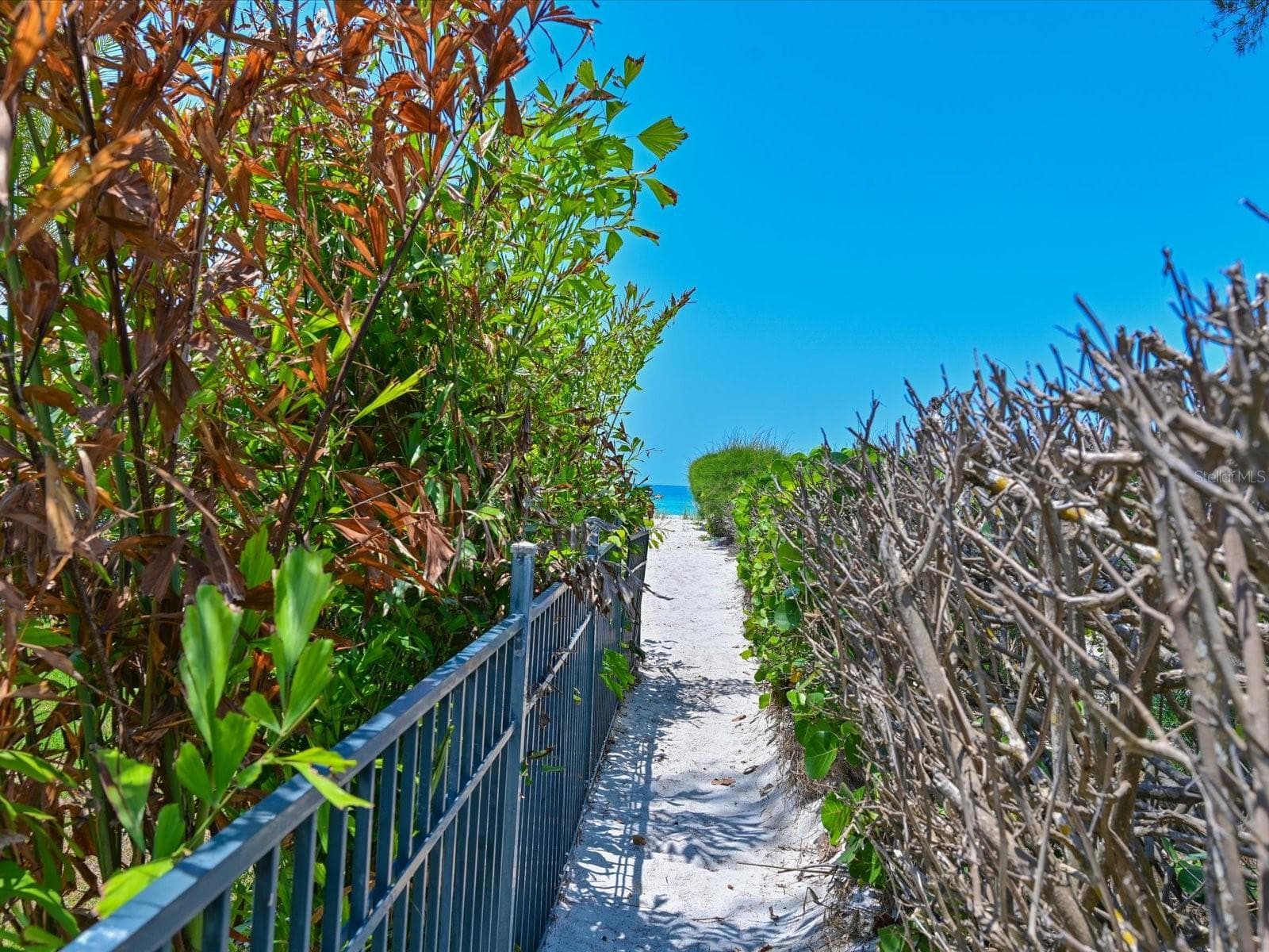 Beach Path - 5920 GULF OF MEXICO DR, LONGBOAT KEY