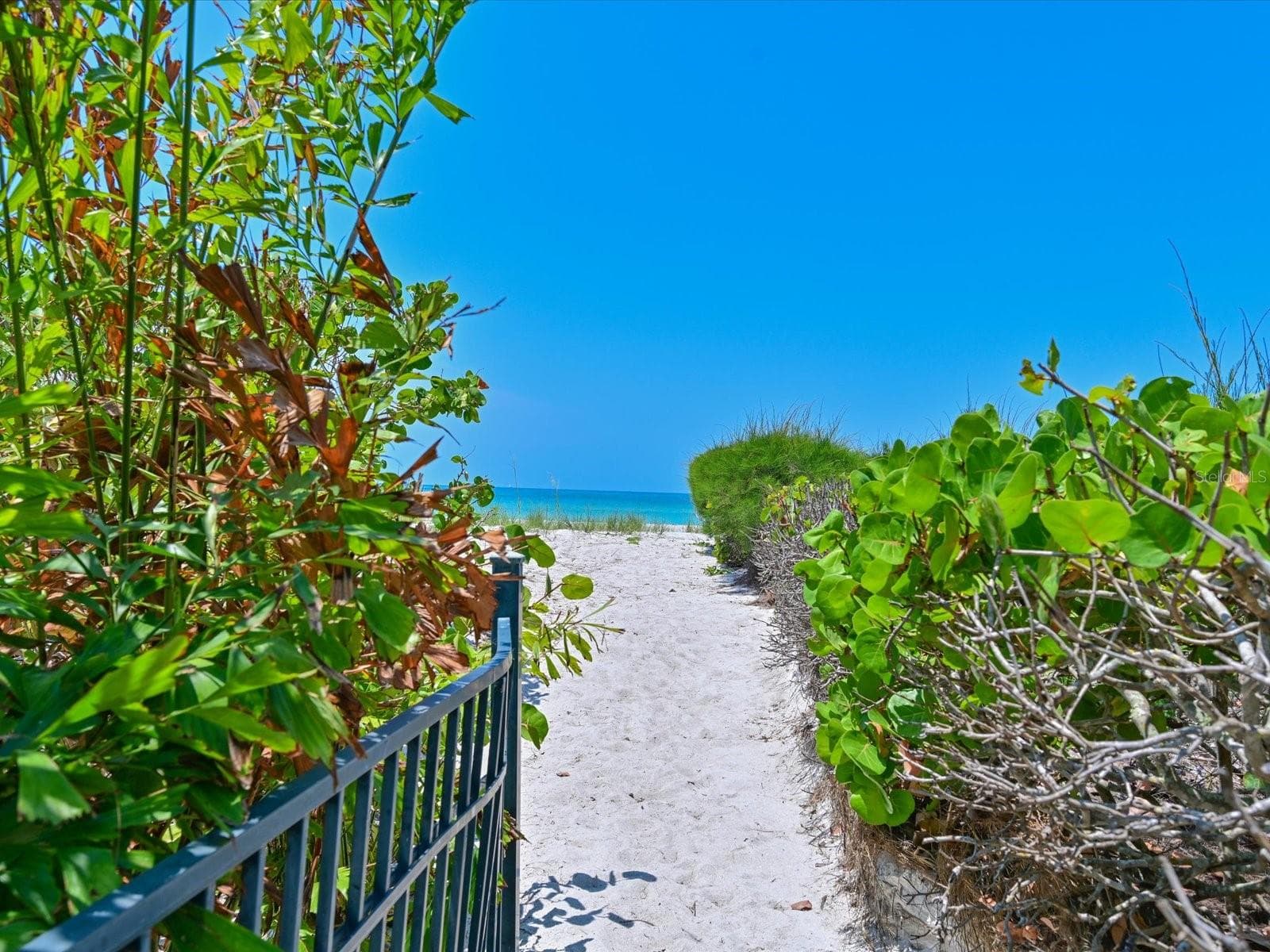 Beach path - 5920 GULF OF MEXICO DR, LONGBOAT KEY