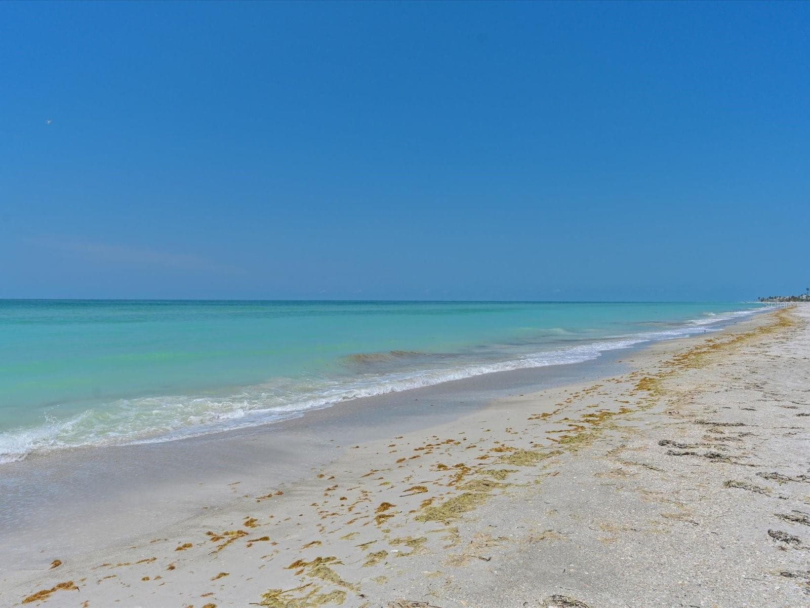 Gulf beach - 5920 GULF OF MEXICO DR, LONGBOAT KEY