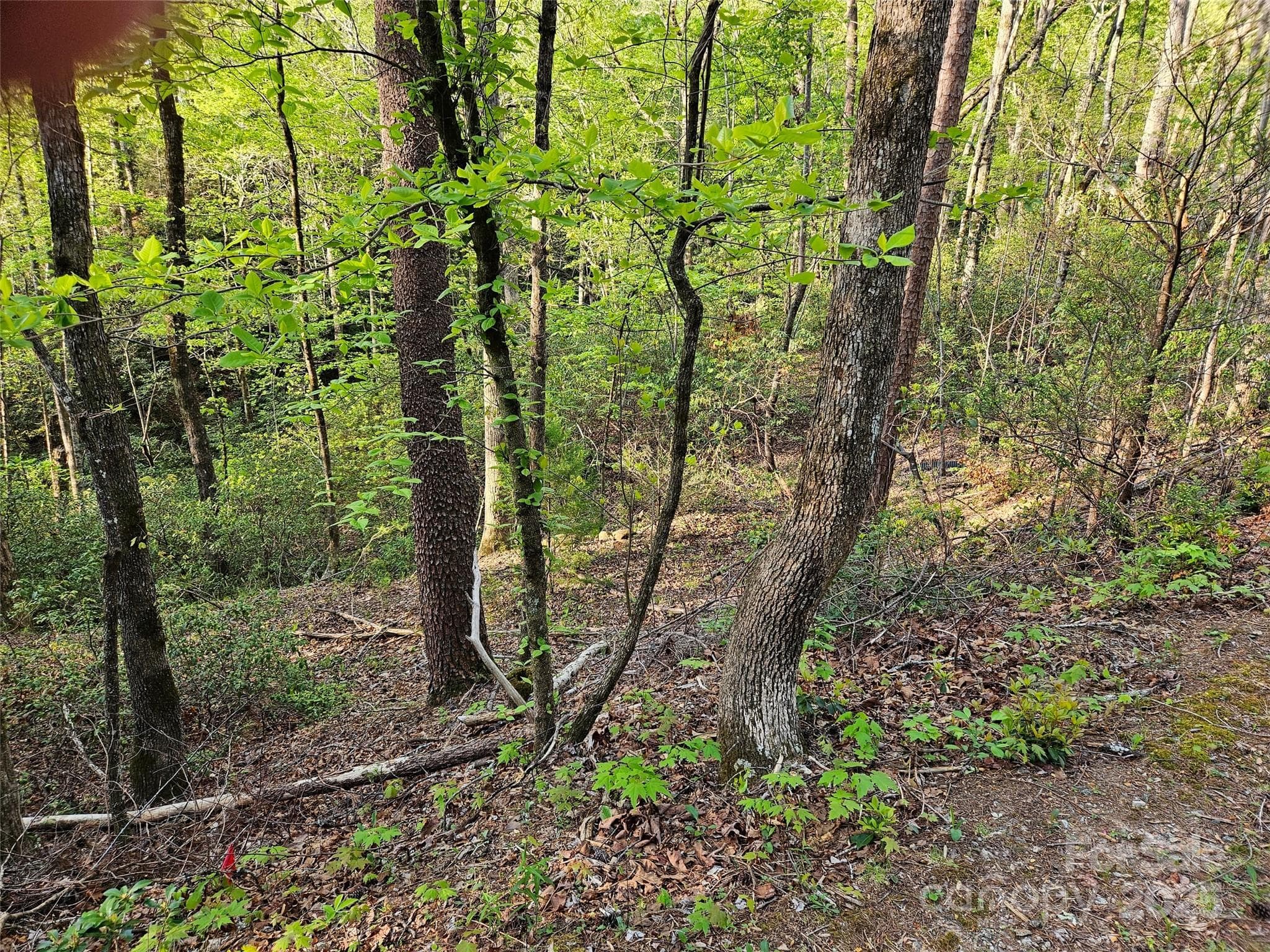 Lot at Lake Lure, photo 2 of 12