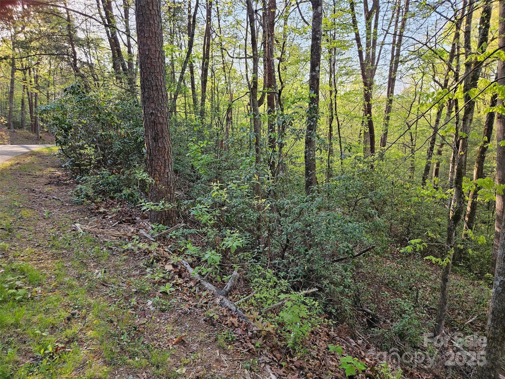 Lot at Lake Lure, photo 3 of 12