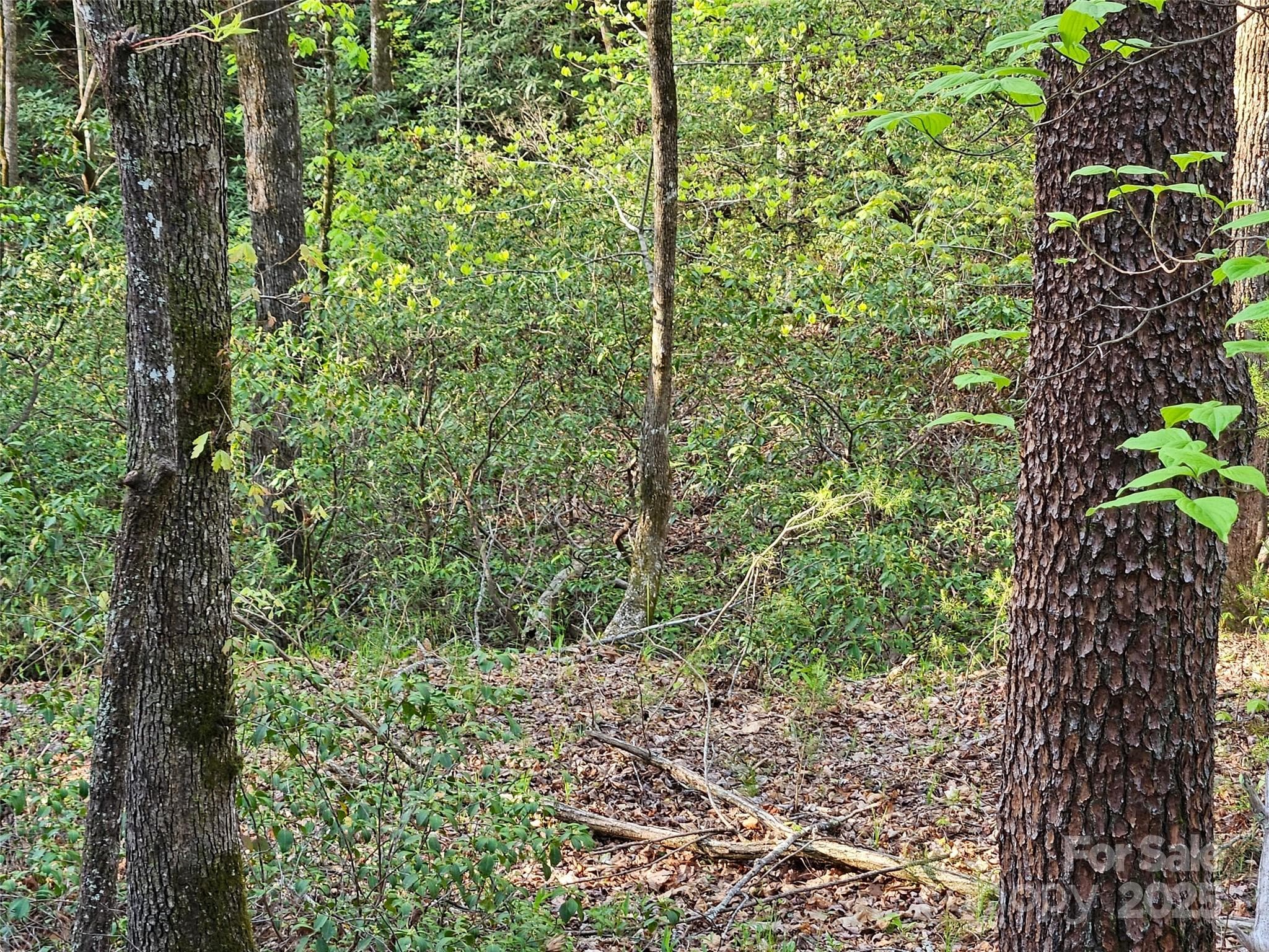 Lot at Lake Lure, photo 4 of 12