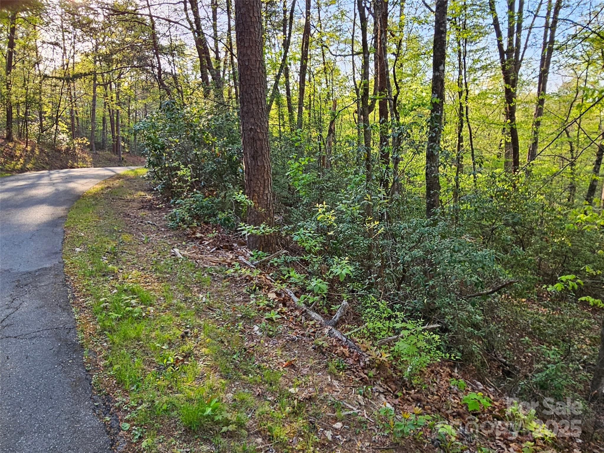 Lot at Lake Lure, photo 5 of 12