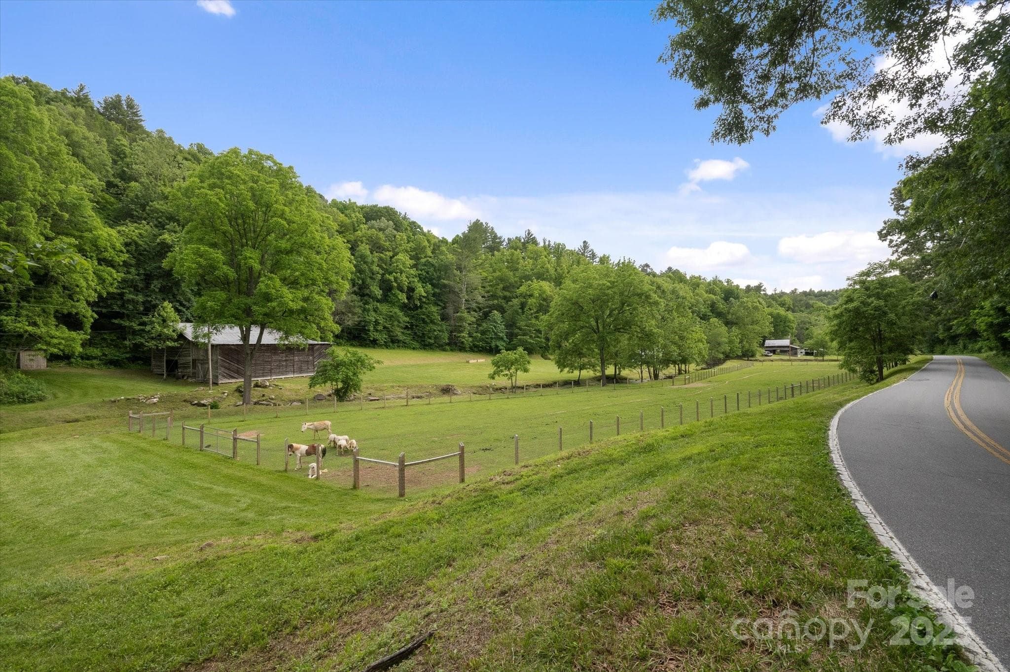 Lot at Mars Hill, photo 4 of 48