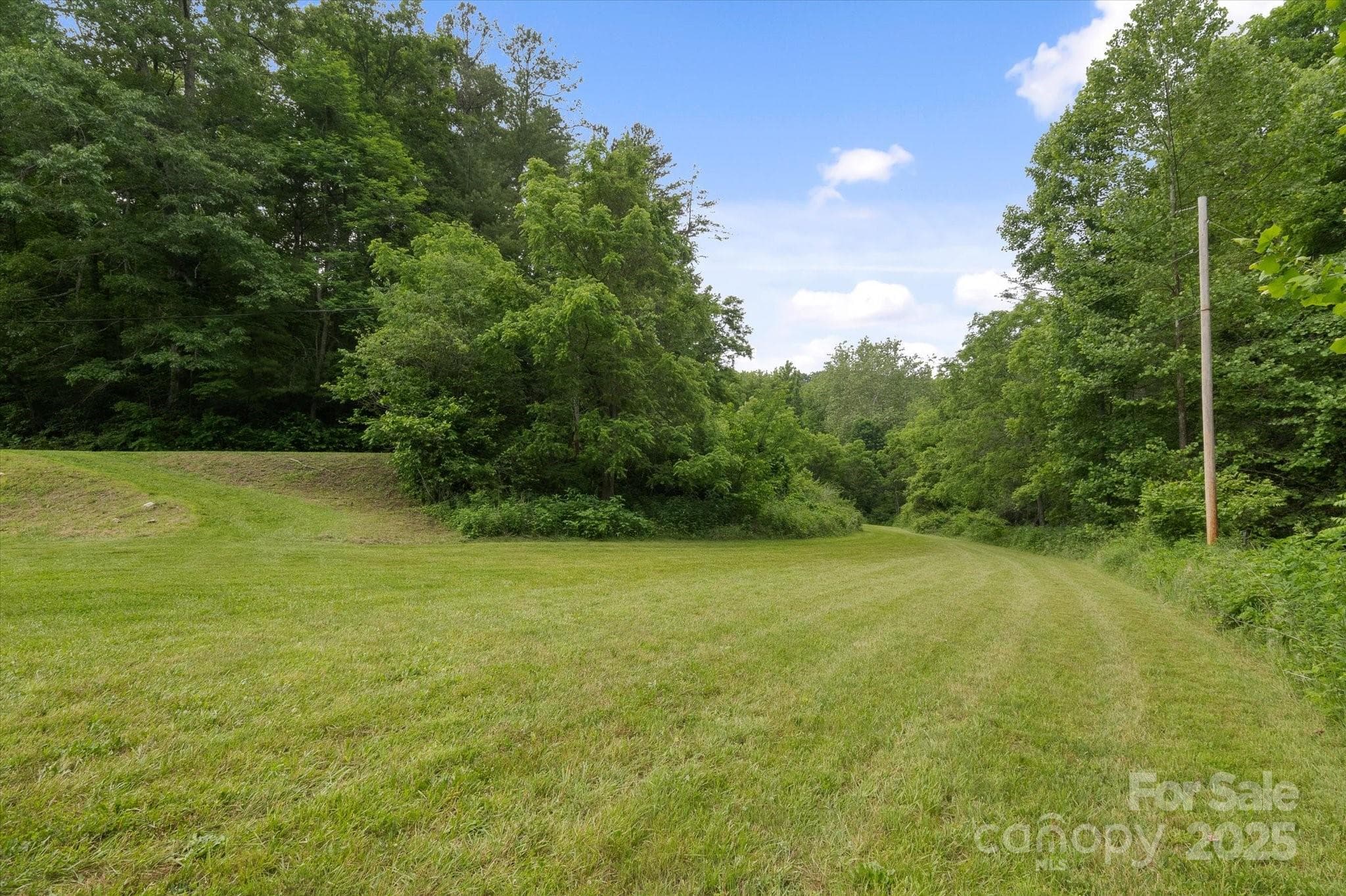 Lot at Mars Hill, photo 28 of 48