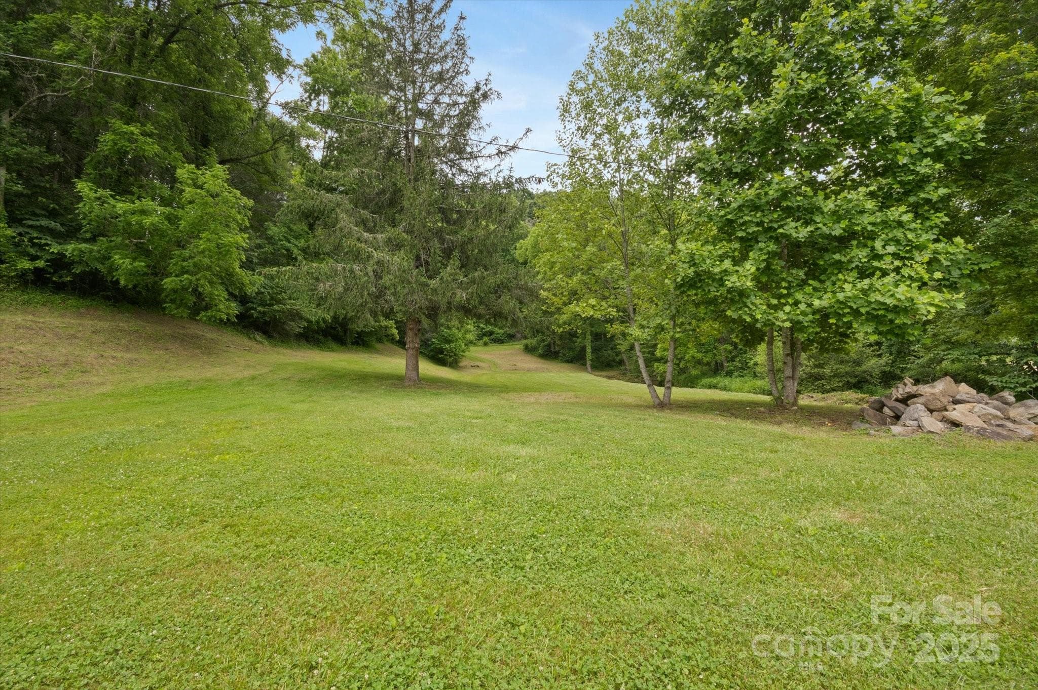 Lot at Mars Hill, photo 39 of 48