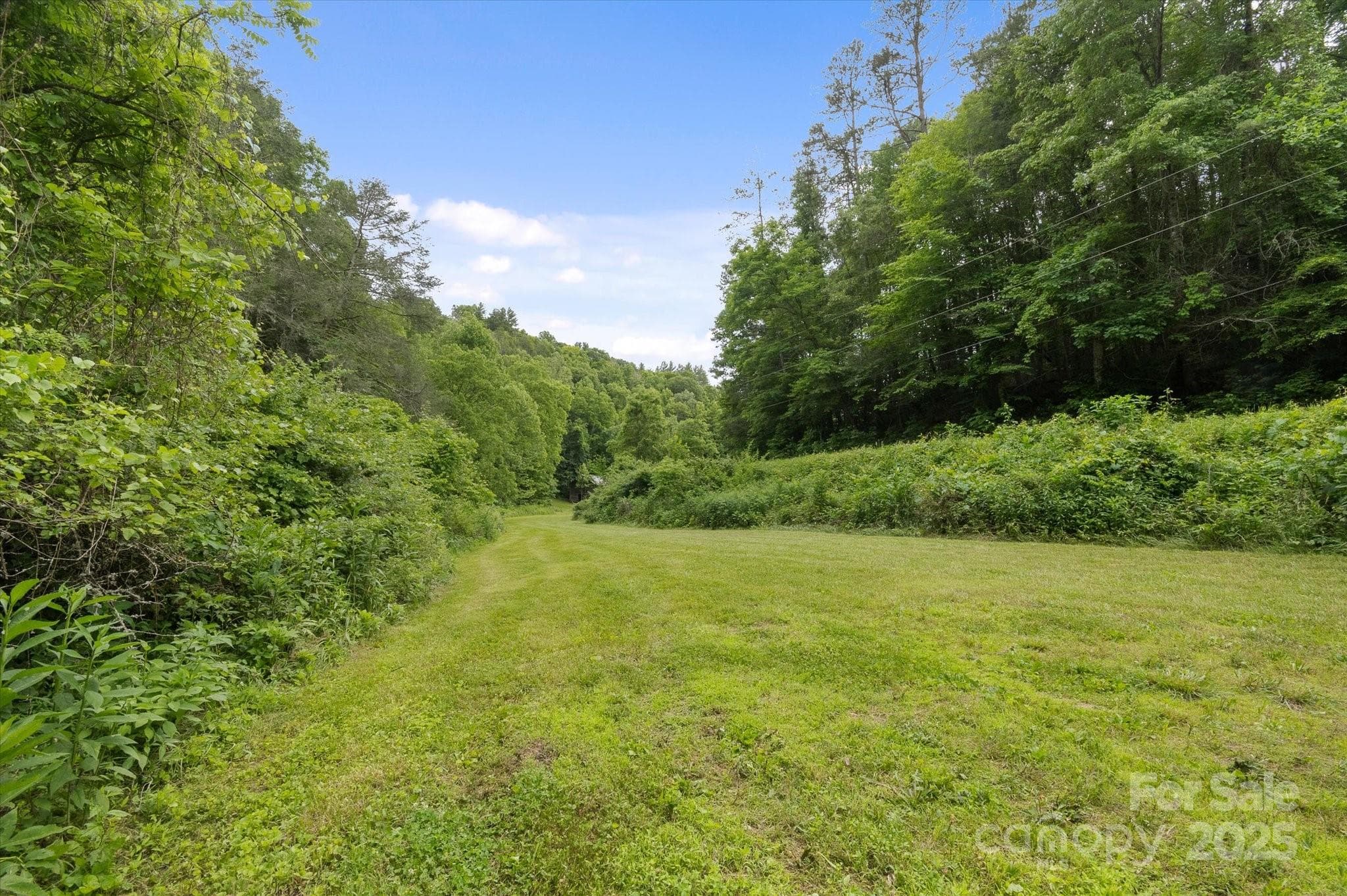 Lot at Mars Hill, photo 41 of 48