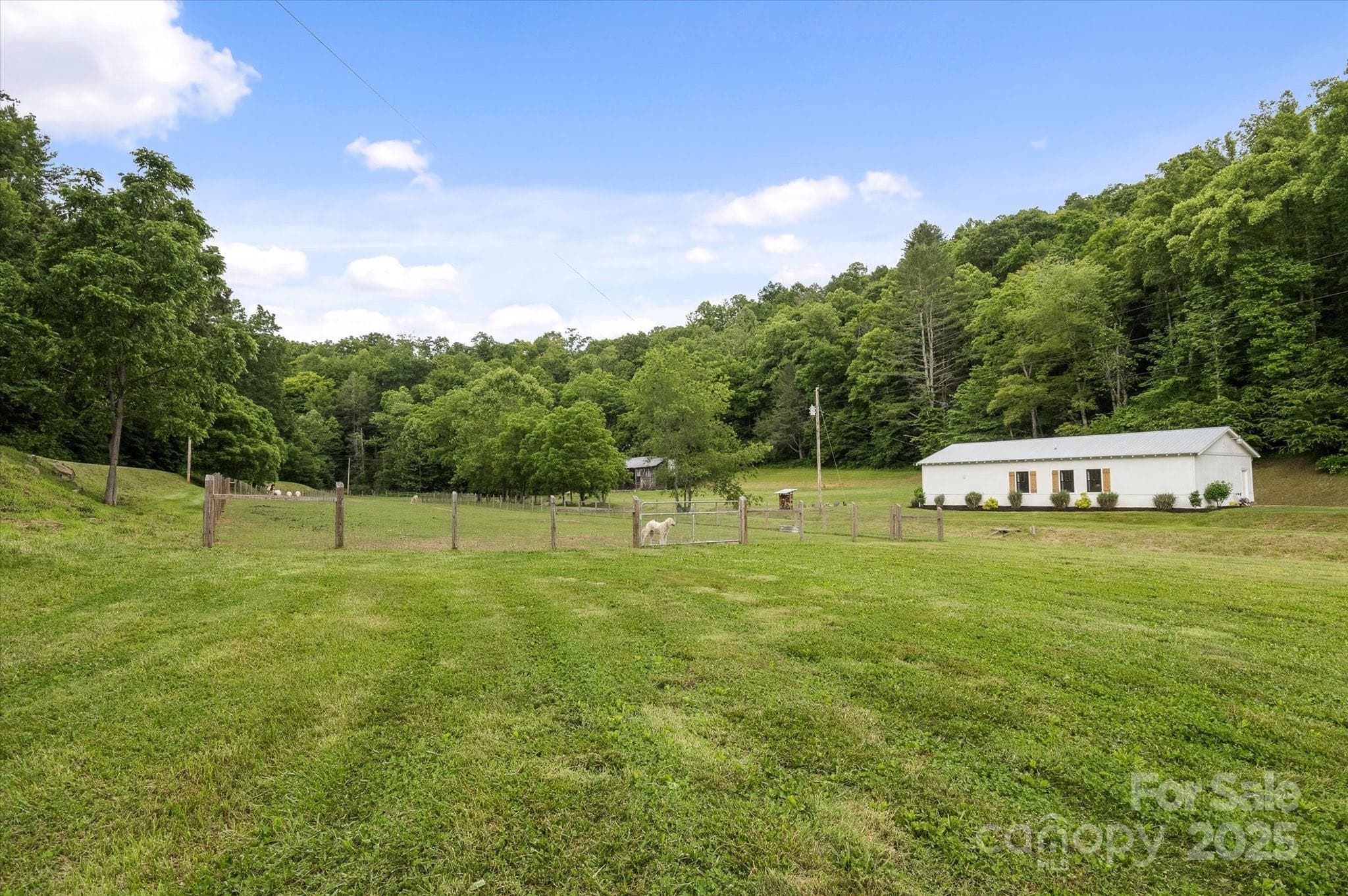 Lot at Mars Hill, photo 42 of 48