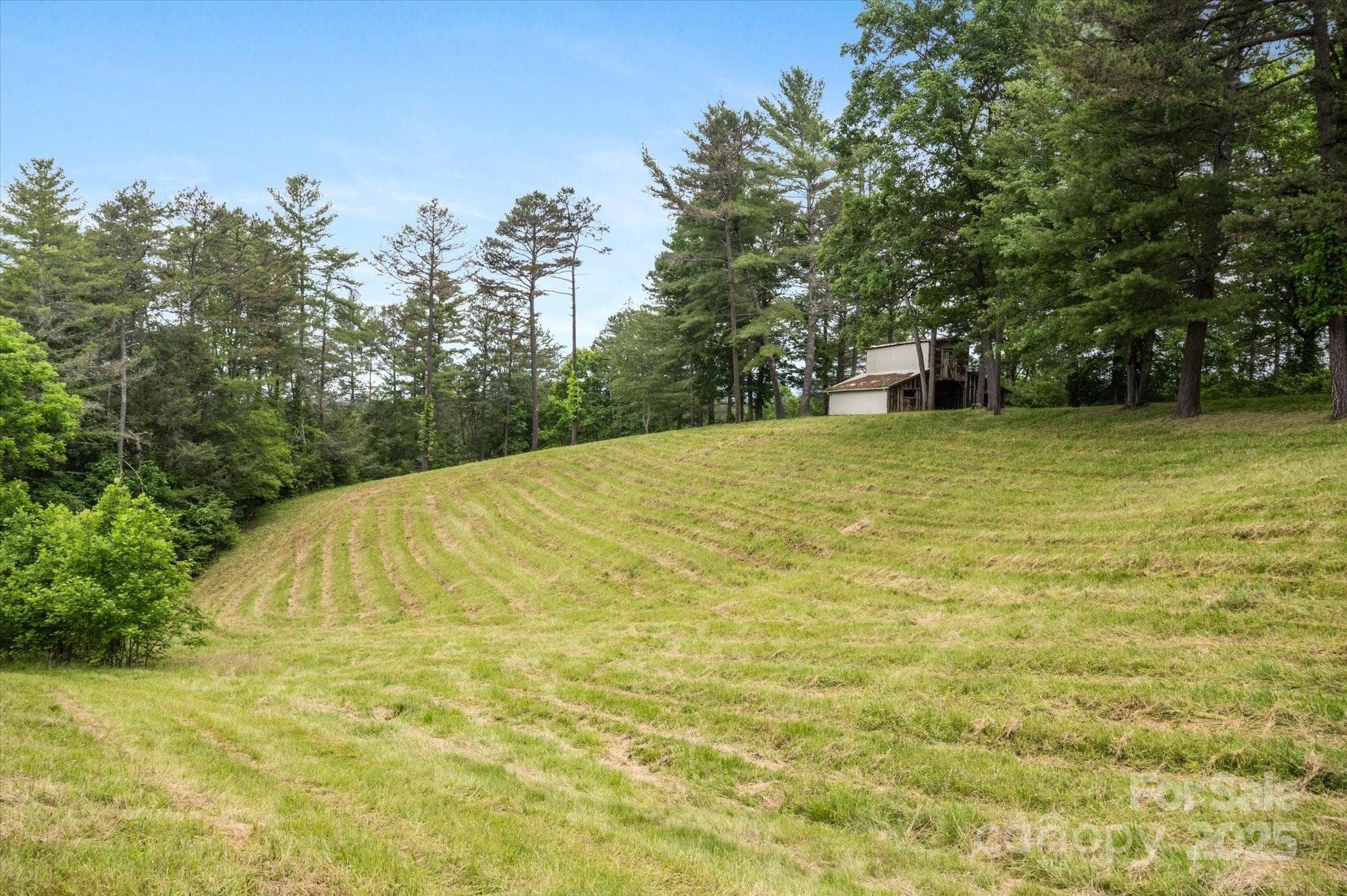 Lot at Mars Hill, photo 43 of 48