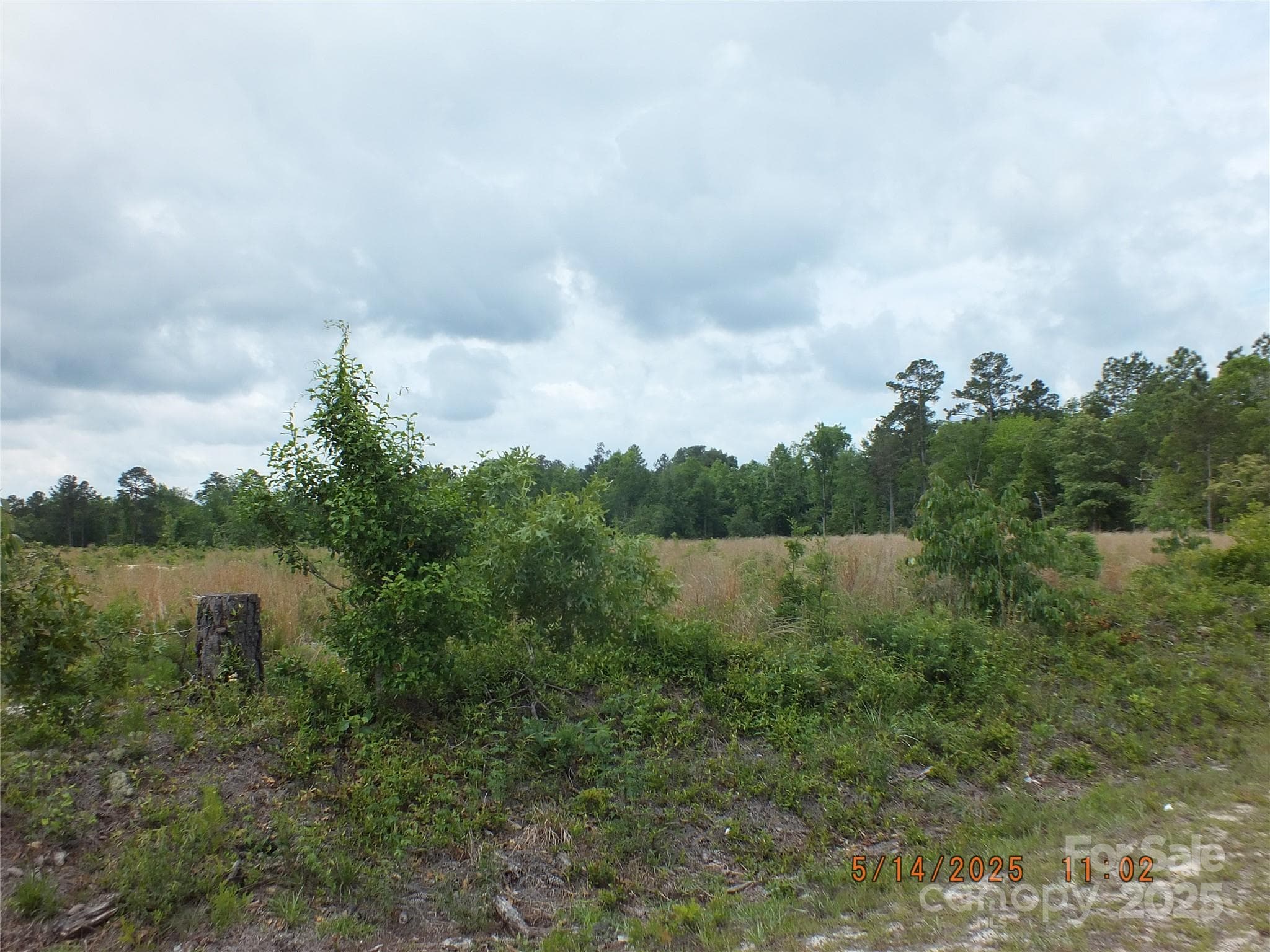 Acreage at 515 Oak Ridge Church Road, Kershaw, photo 3 of 5