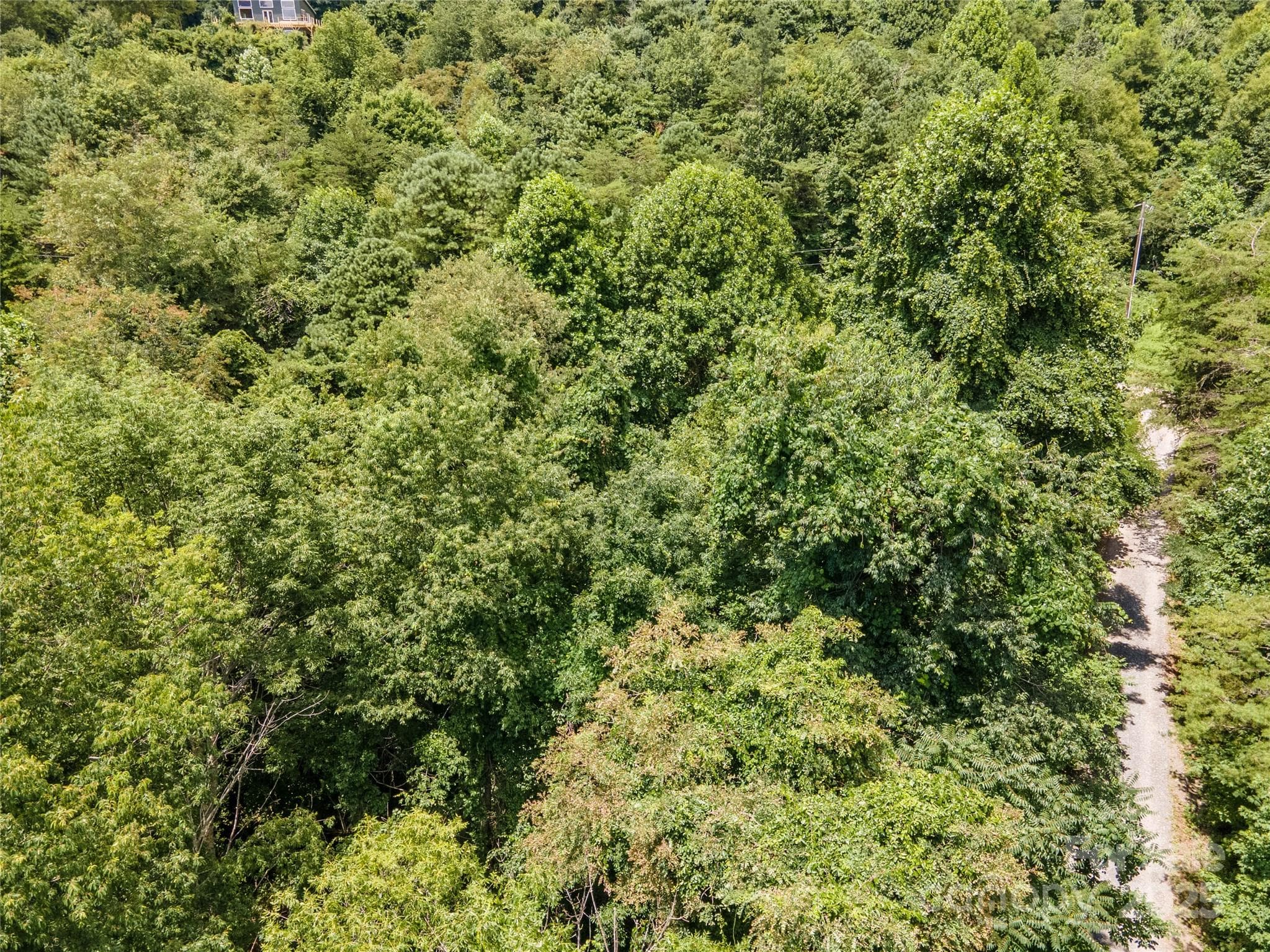 Plenty of mature trees - 00 Troutman Trail, Leicester