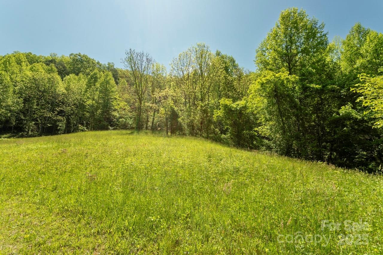 Acreage at Sylva, photo 7 of 20