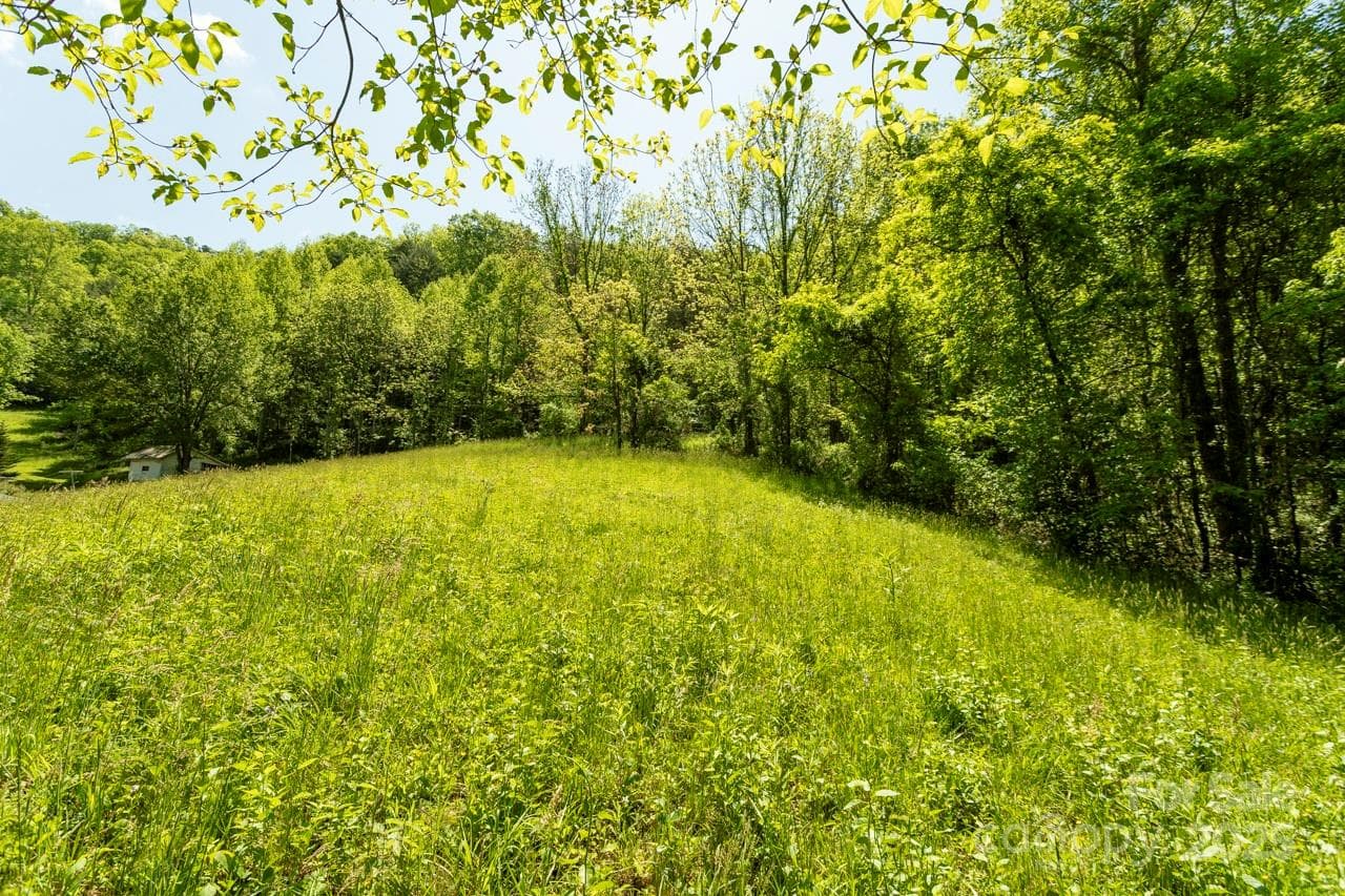 Acreage at Sylva, photo 8 of 20