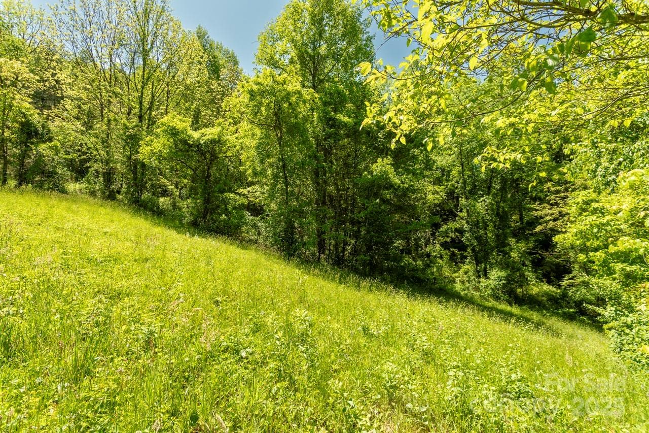 Acreage at Sylva, photo 9 of 20