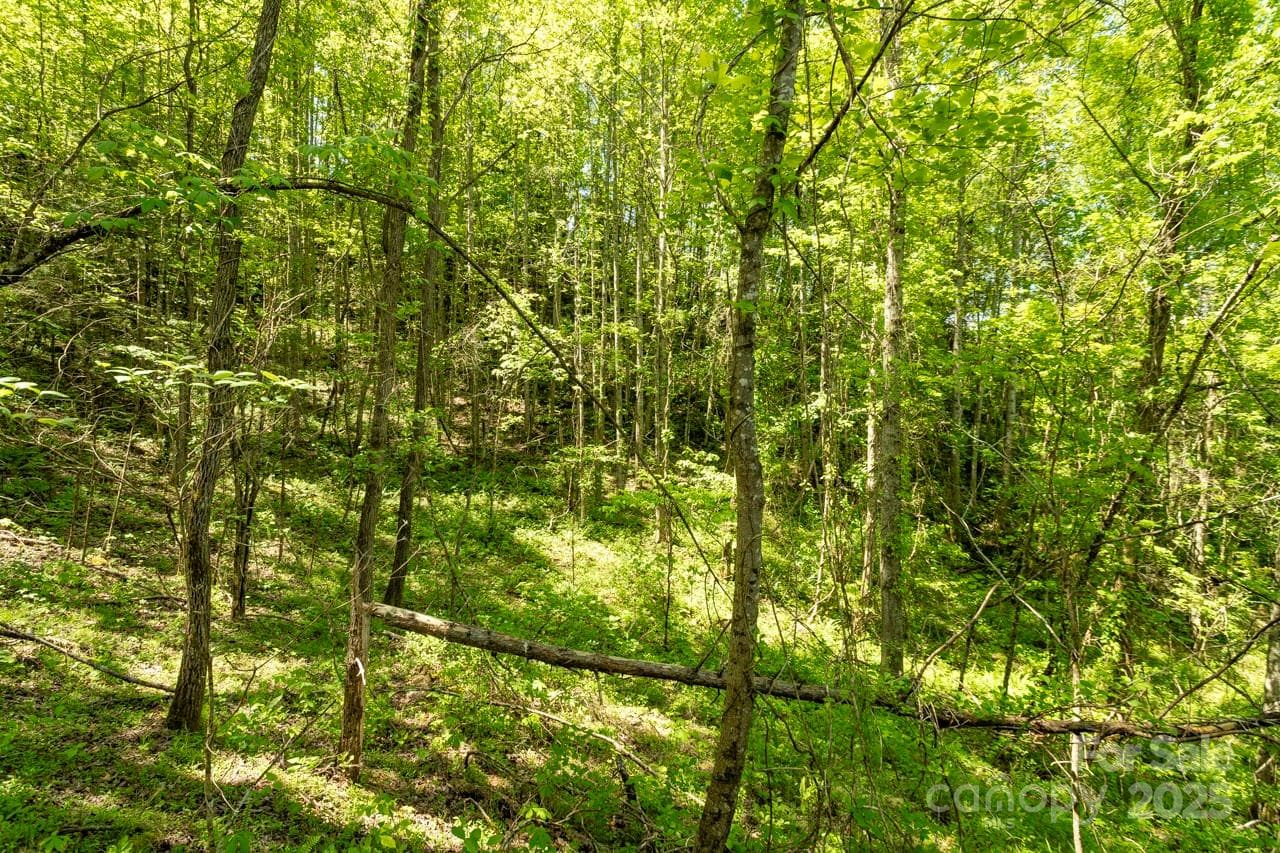 Acreage at Sylva, photo 10 of 20