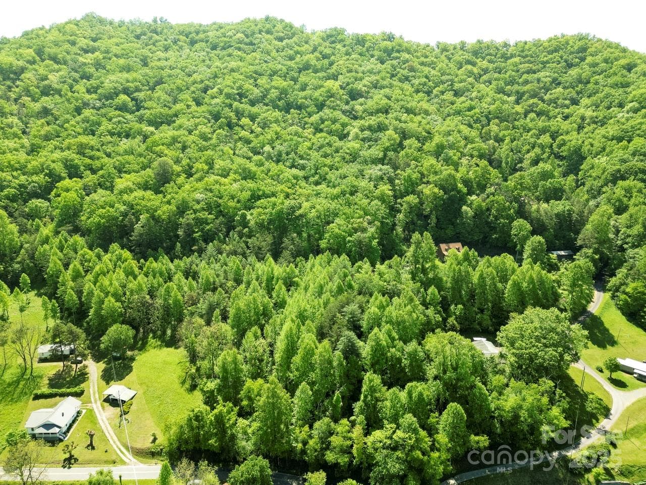 Acreage at Sylva, photo 11 of 20