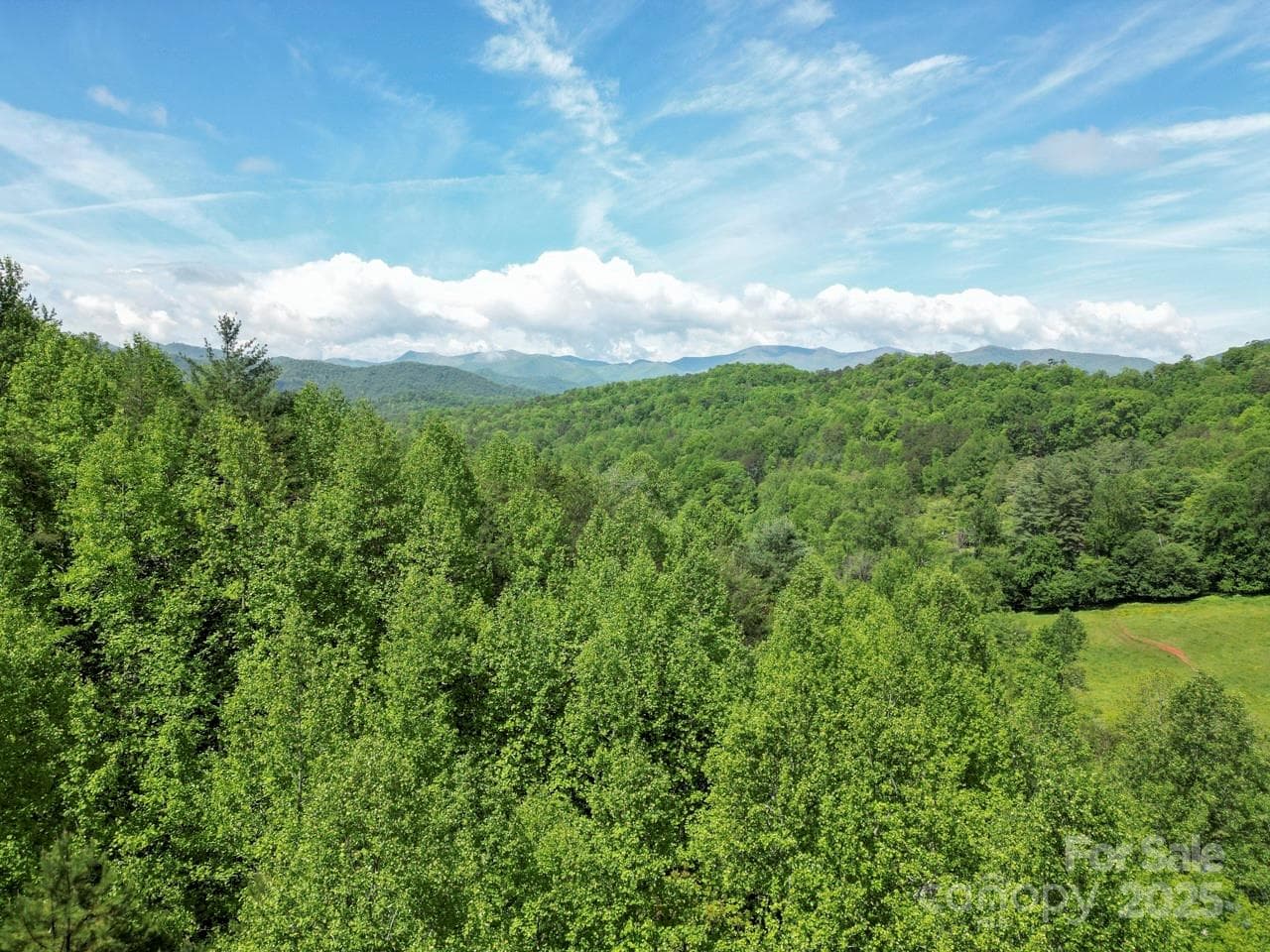 Acreage at Sylva, photo 14 of 20
