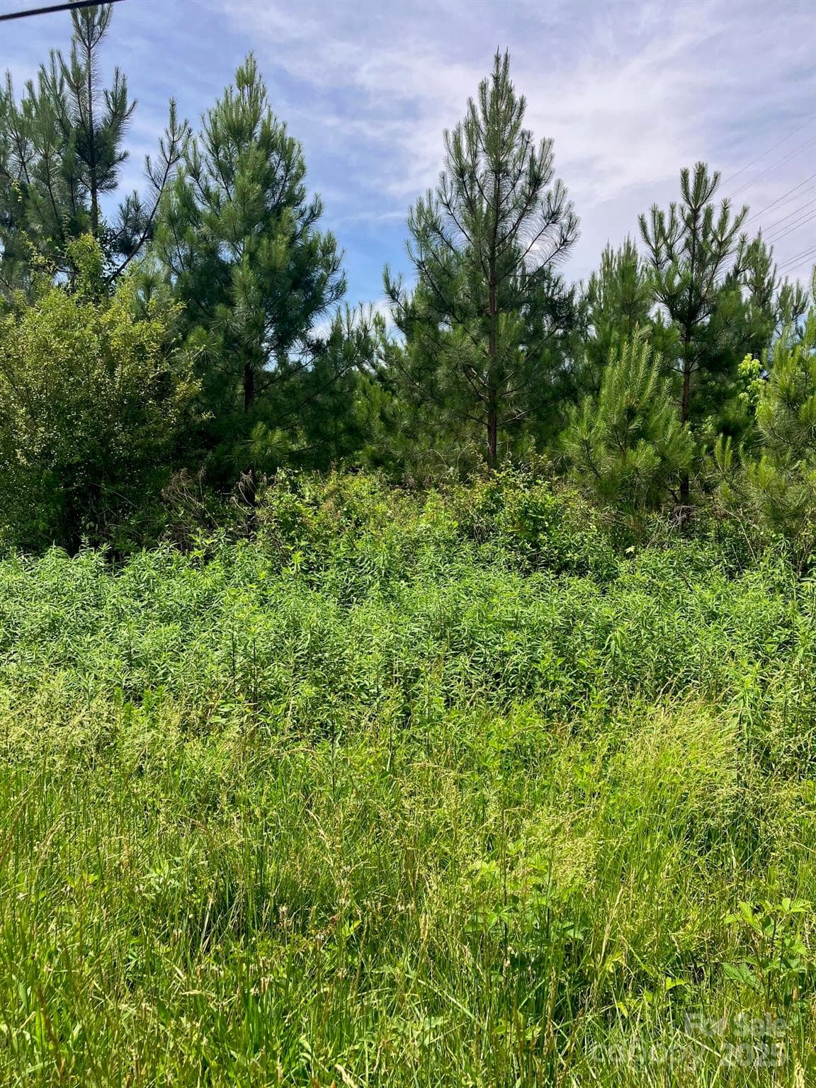 Acreage at 0 Renee Ford Road, Stanfield, photo 2 of 6