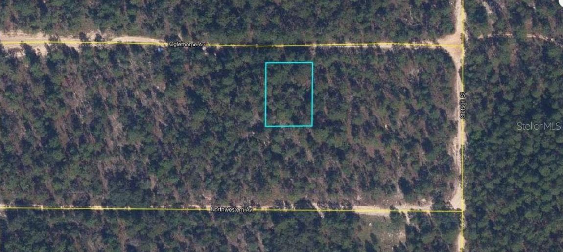 Land at 6213 OLGETHORPE AVE, KEYSTONE HEIGHTS, photo 2 of 6