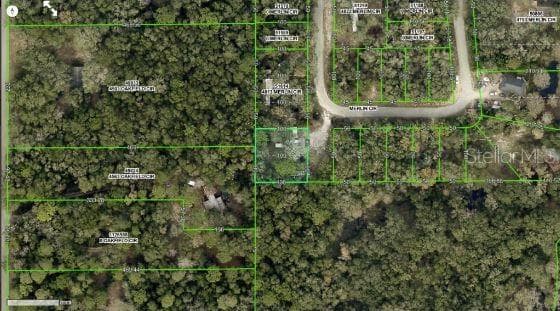 Land at 4809 MERLIN CIR, RIDGE MANOR, photo 6 of 8