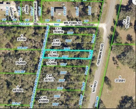 Land at TREIMAN BLVD, WEBSTER, photo 2 of 5