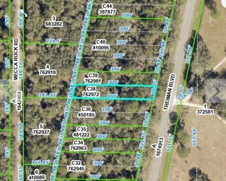 Land at TREIMAN BLVD, WEBSTER, photo 2 of 6