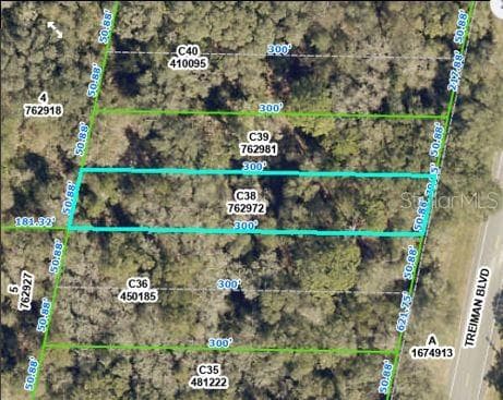 Land at TREIMAN BLVD, WEBSTER, photo 3 of 6
