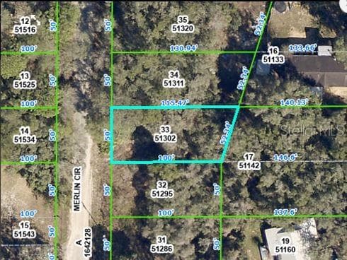 Land at 4842 MERLIN CIR CIR, DADE CITY, photo 2 of 6