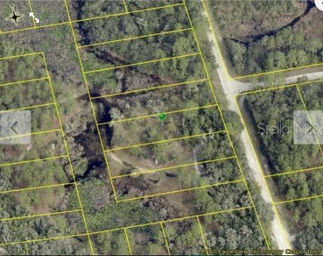 Land at CHIMNEY ROCK DR, WEBSTER, photo 5 of 6
