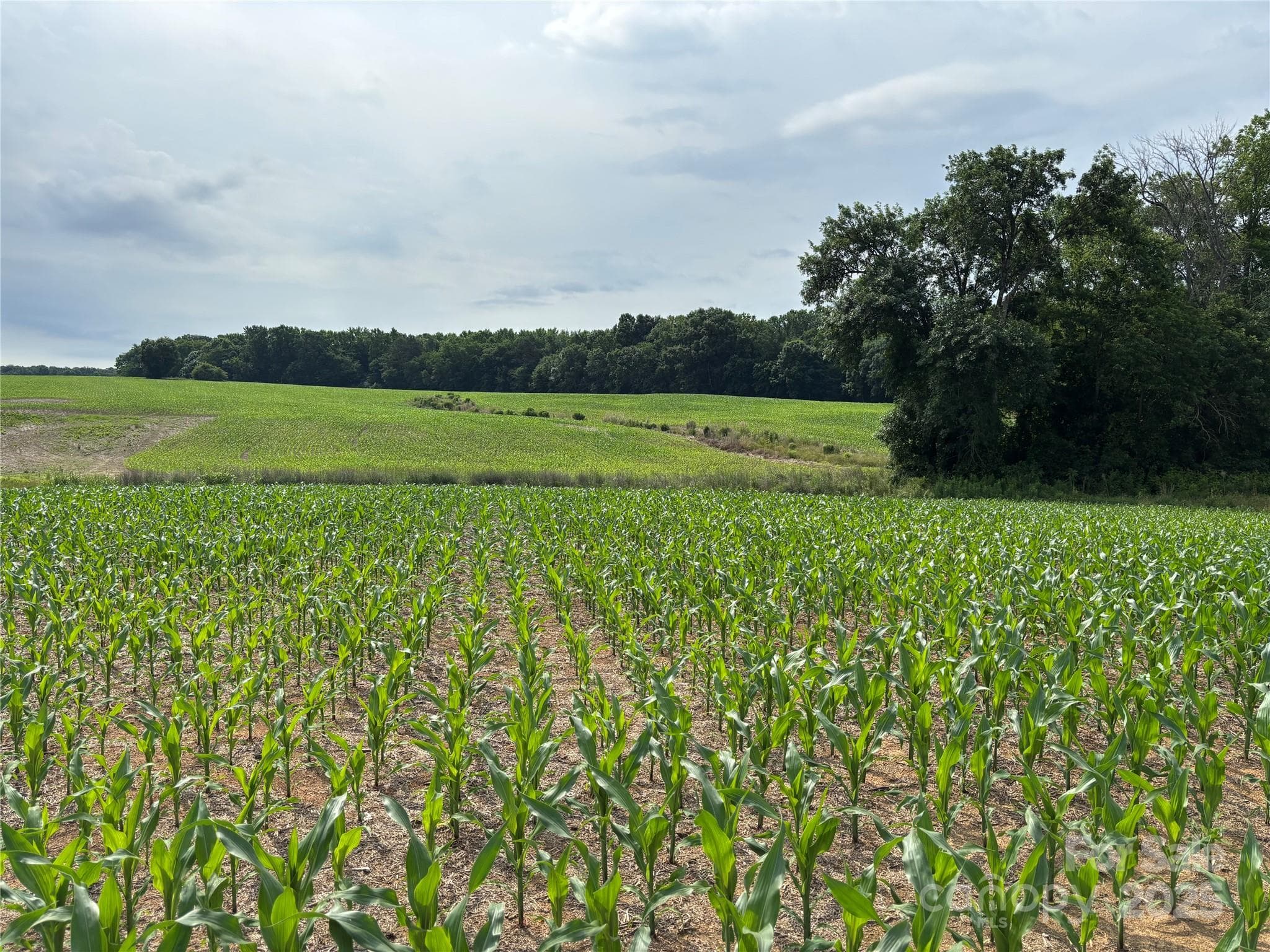 Acreage at Monroe, photo 6 of 17