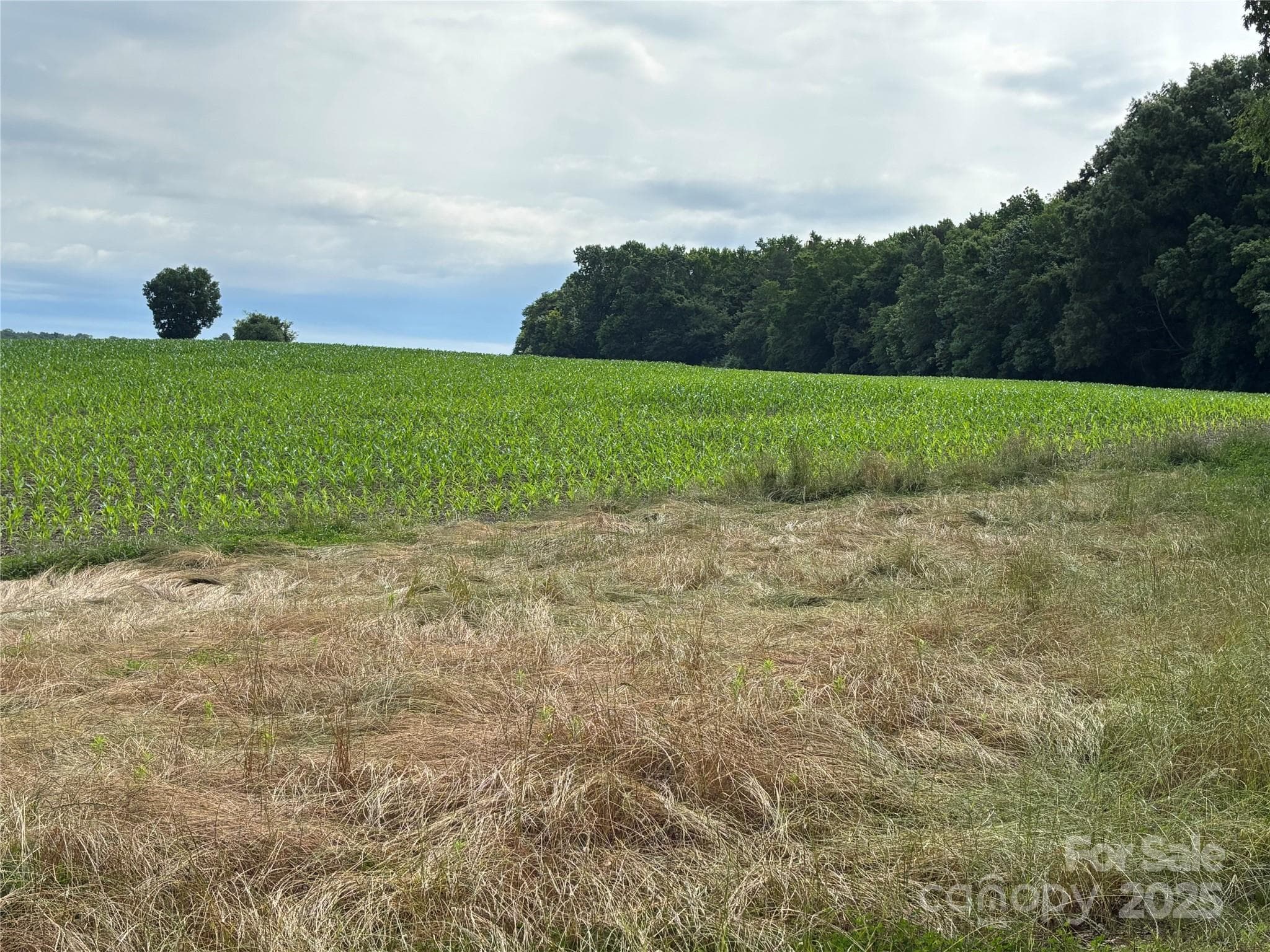 Acreage at Monroe, photo 9 of 17