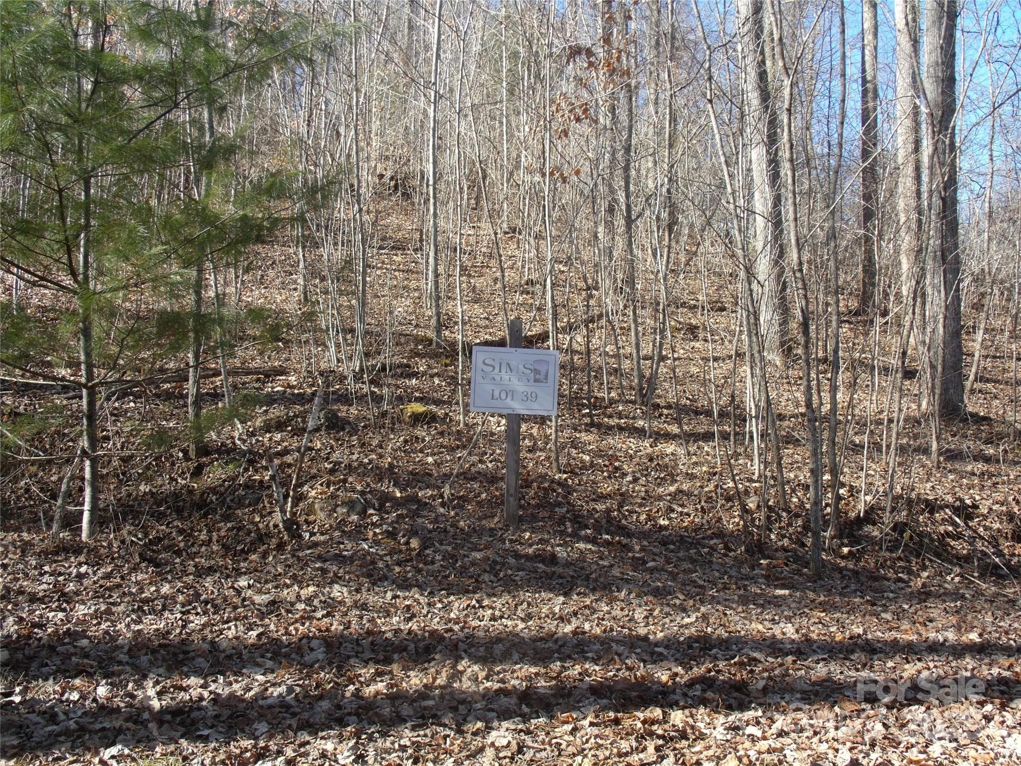 0.92 Acre Lot - Lot 39 Sweet Spring Trail, Glenville