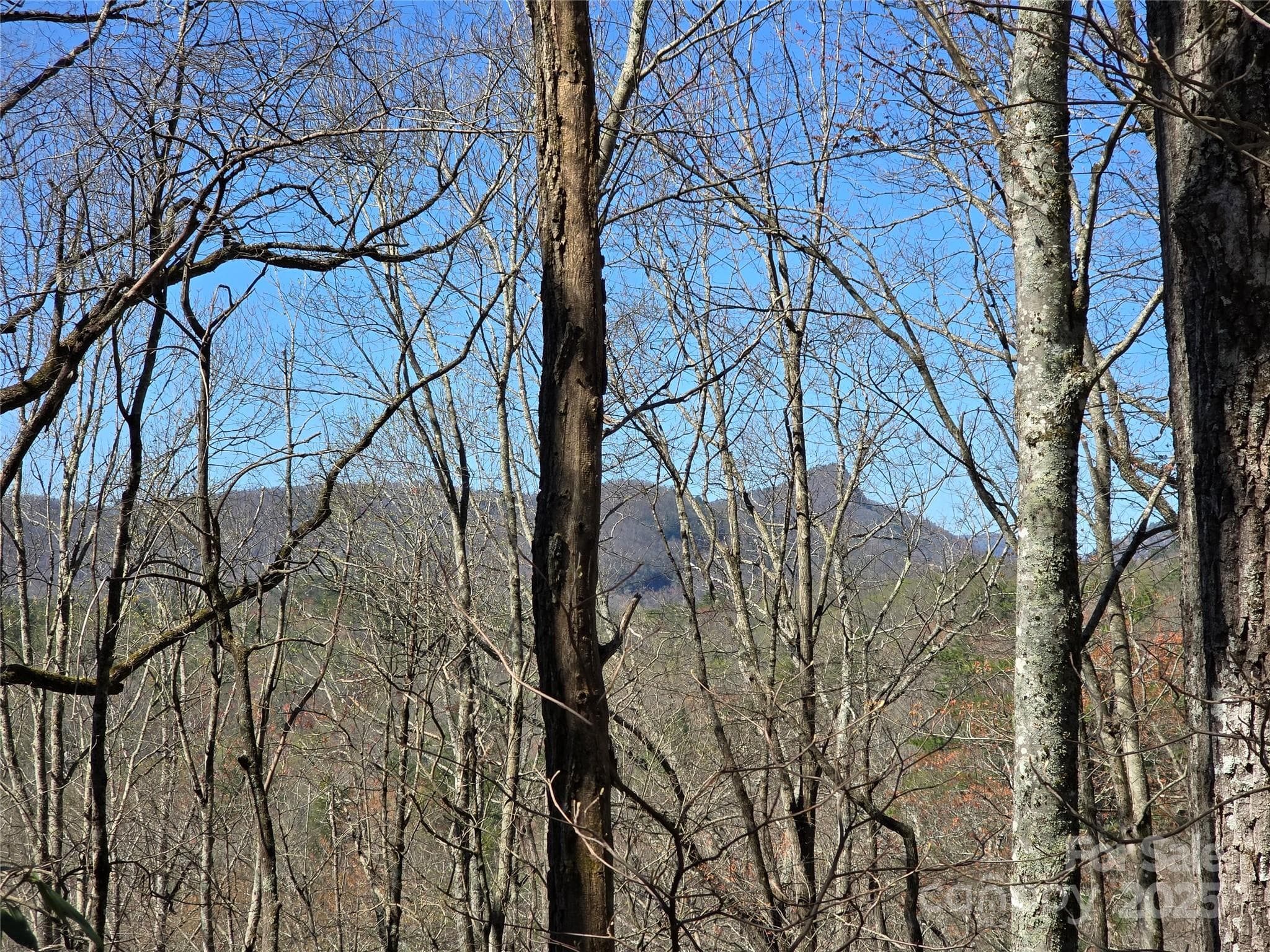 Lot at Lot 39 Sweet Spring Trail, Glenville, photo 3 of 27