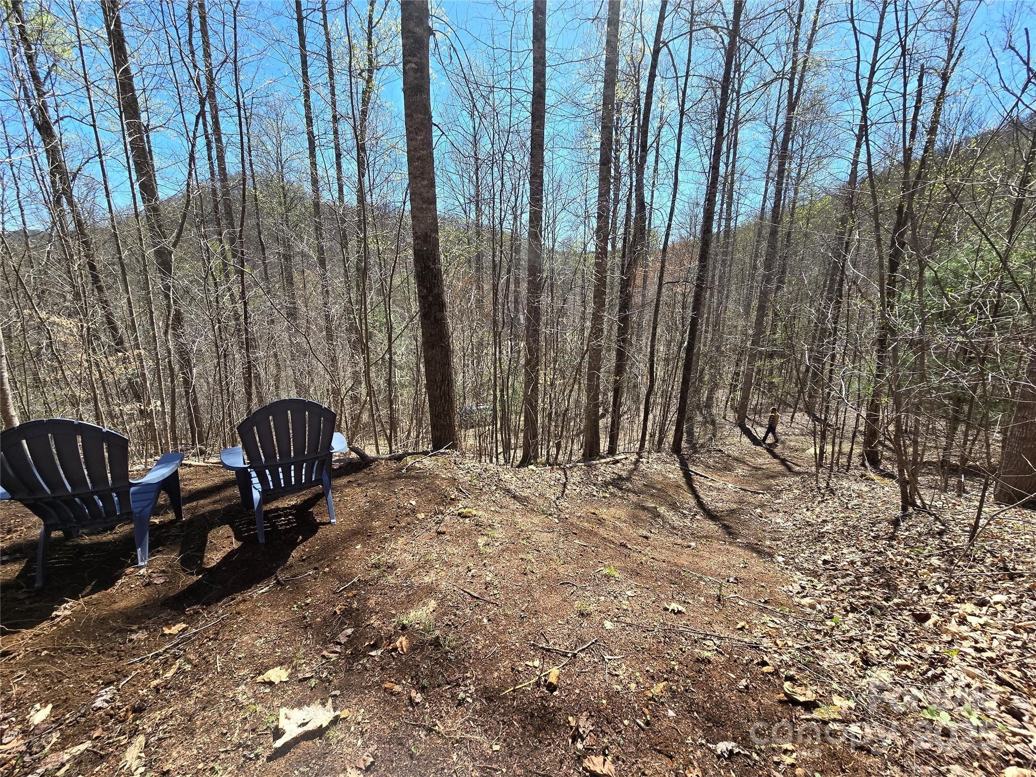 Trail Cleared up to viewing area - Lot 39 Sweet Spring Trail, Glenville