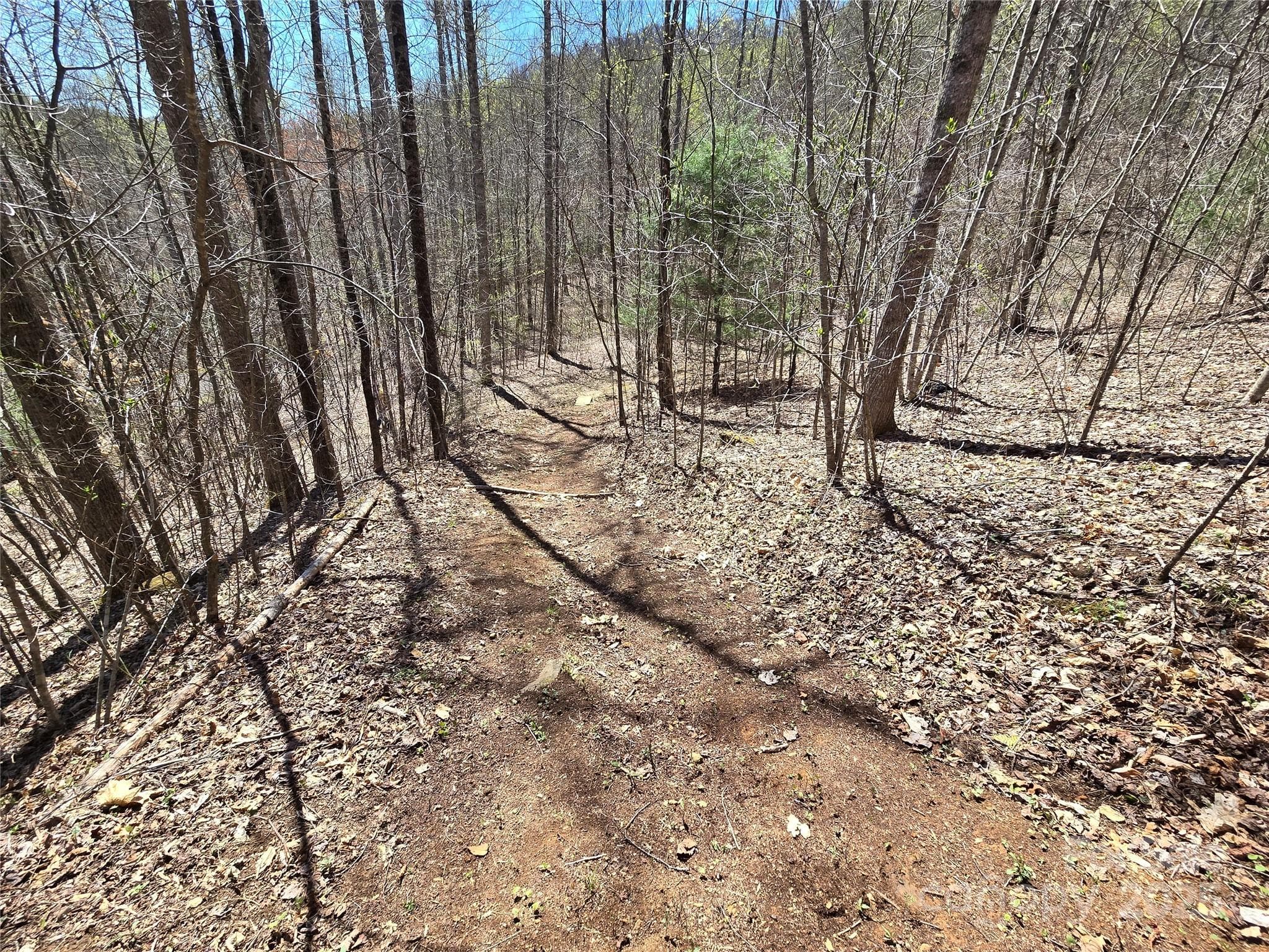 Lot at Lot 39 Sweet Spring Trail, Glenville, photo 6 of 27